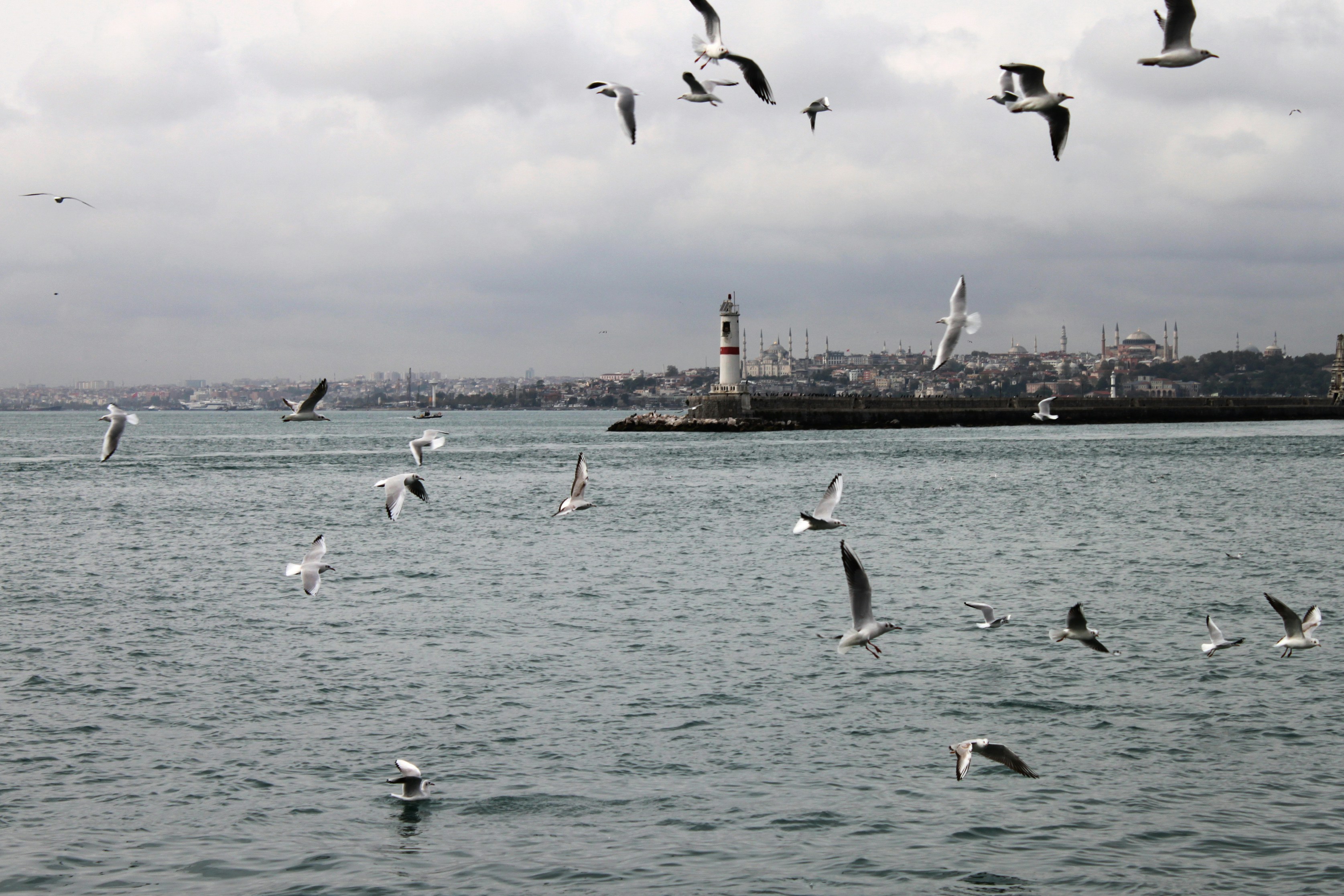 Photo by miguelbaixauli