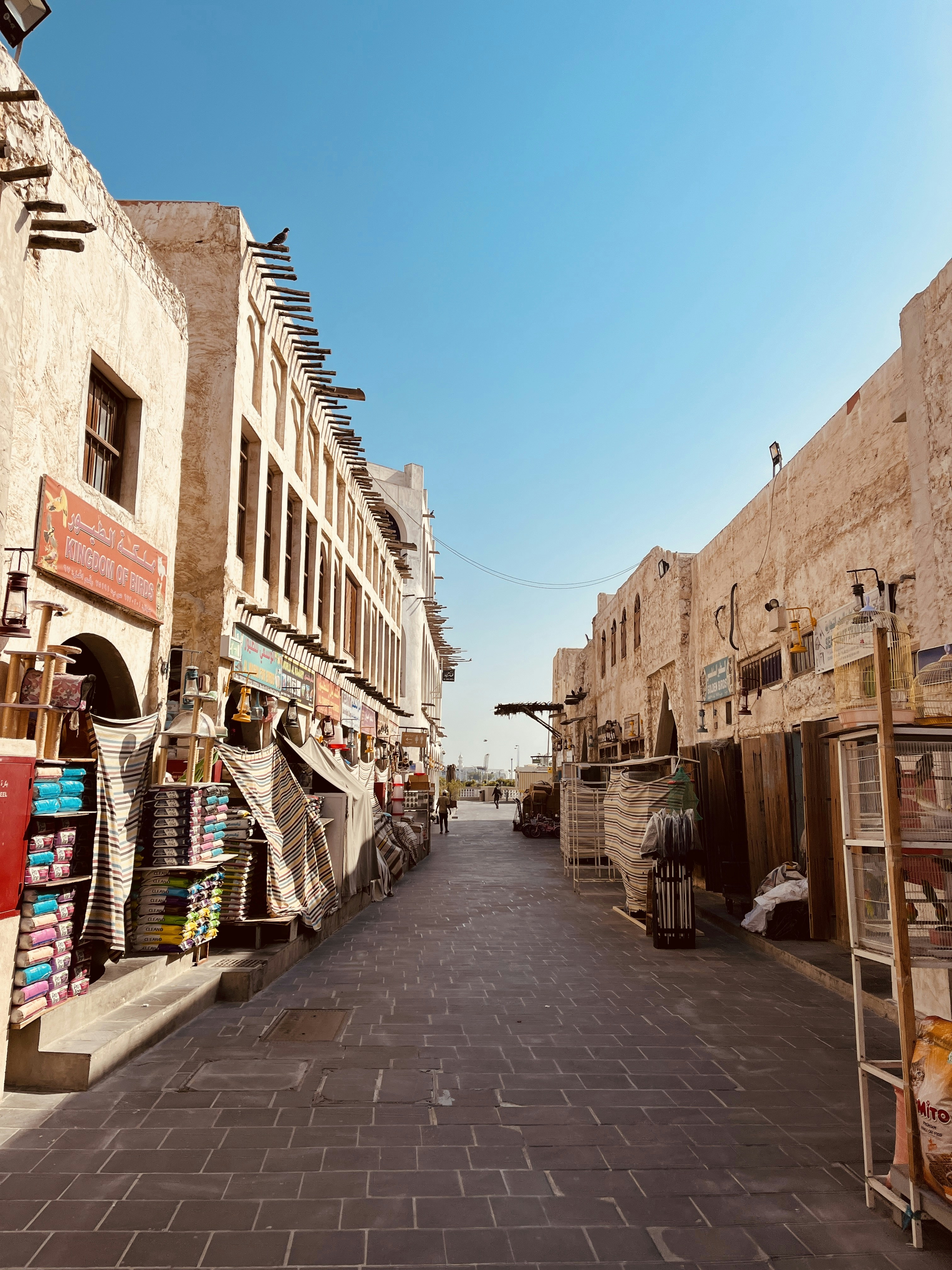 Photo by esh3rwy