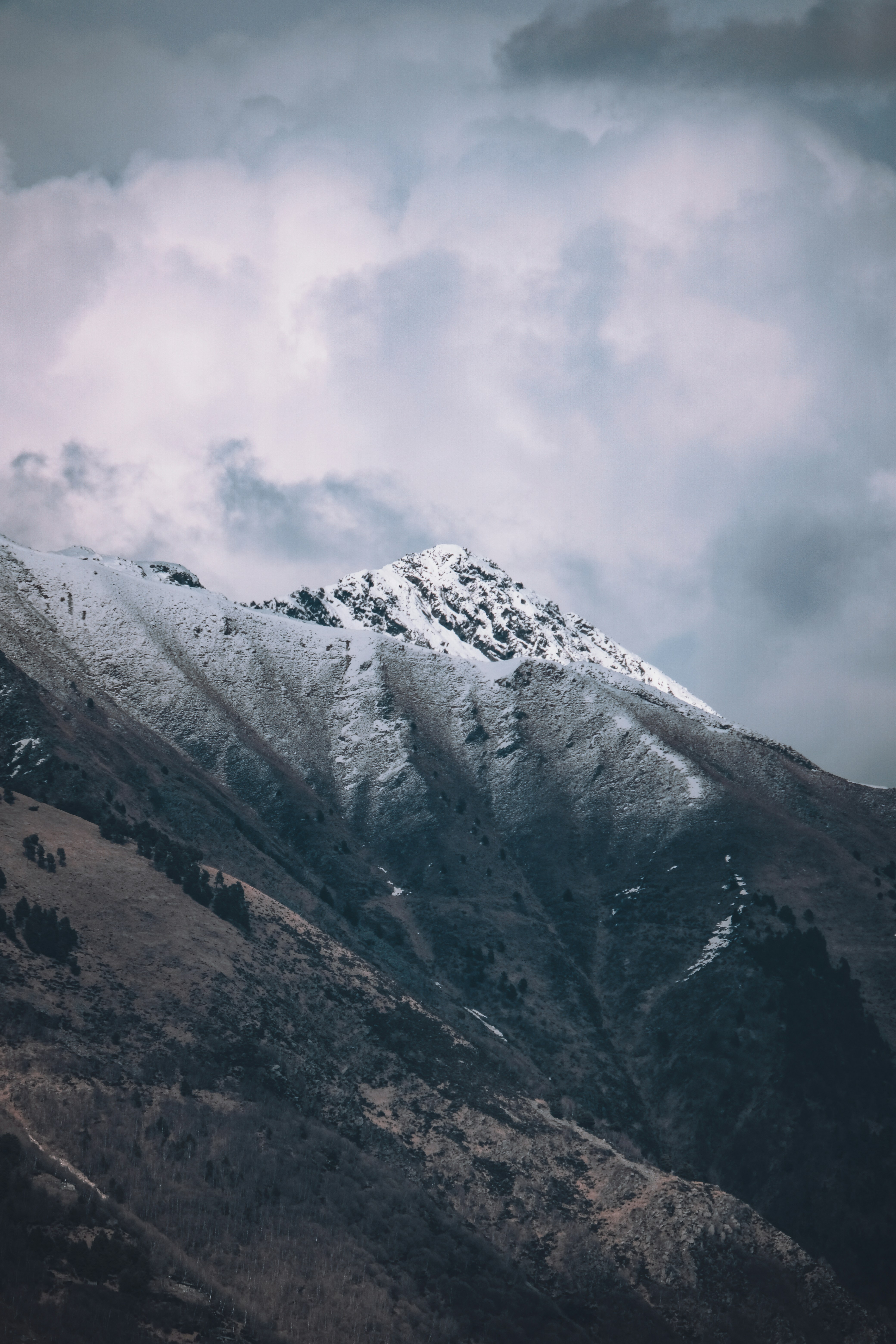 Photo by francesco_ungaro