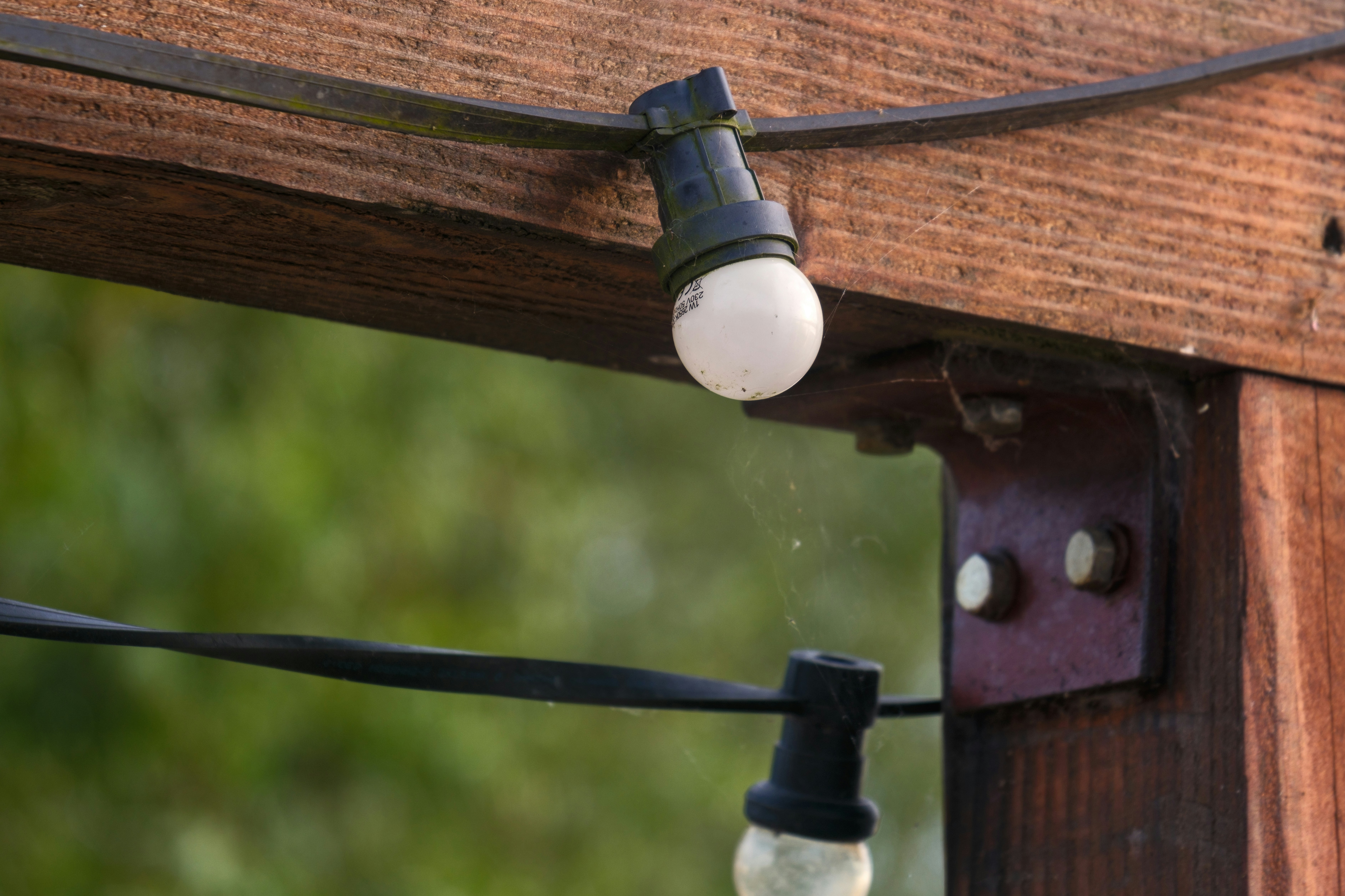 Photo by haberdoedas2