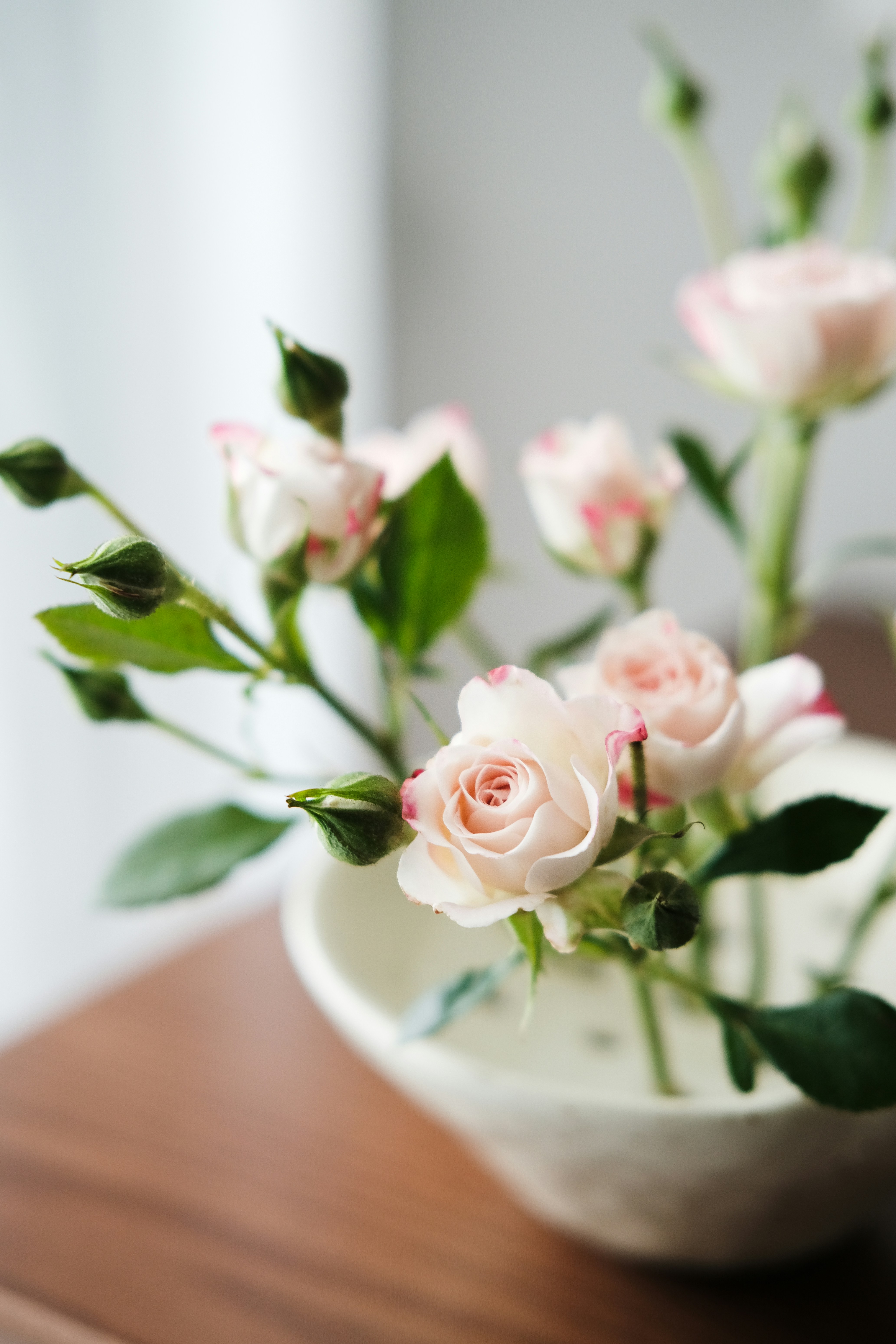 Photo by nganduong93