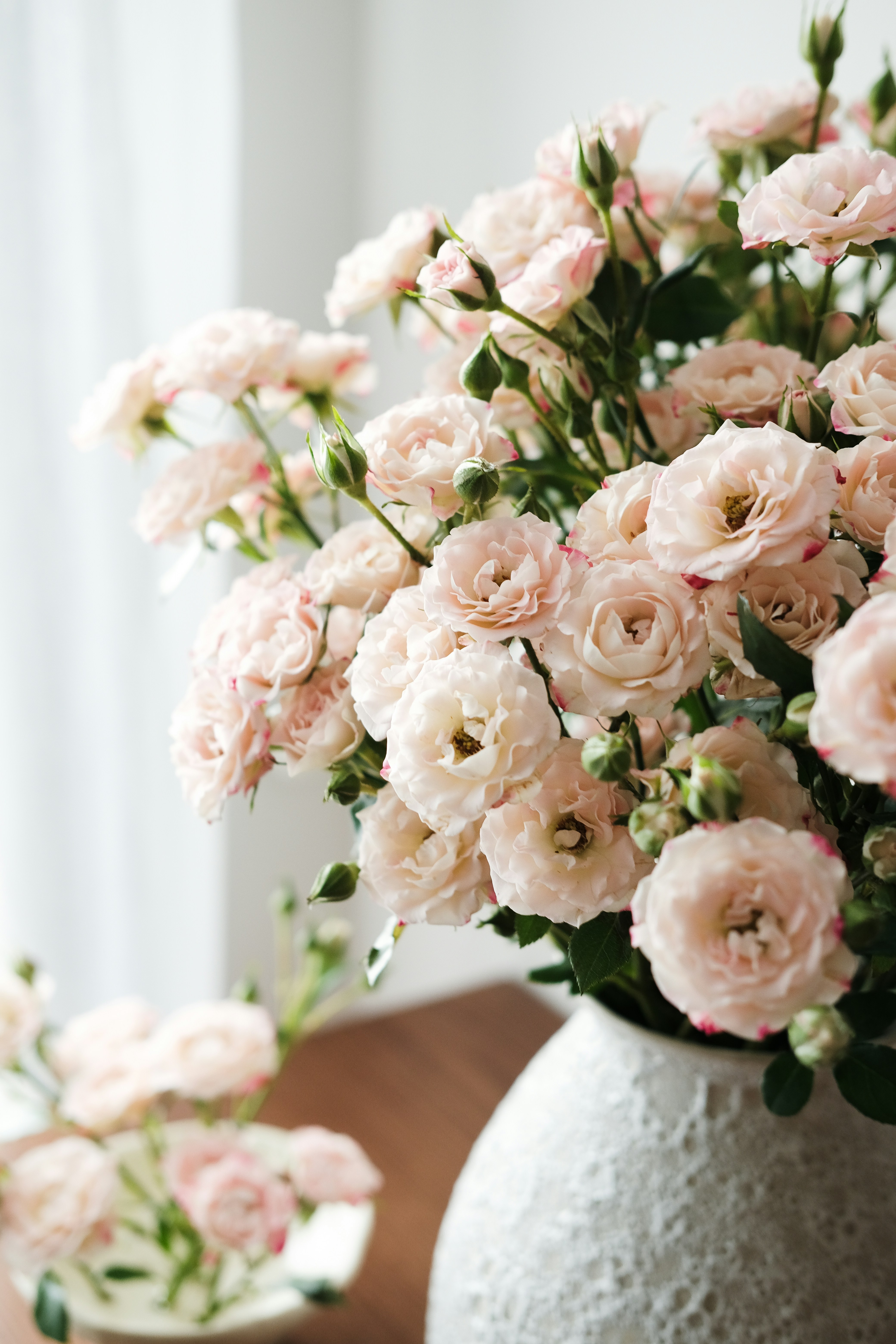 Photo by nganduong93