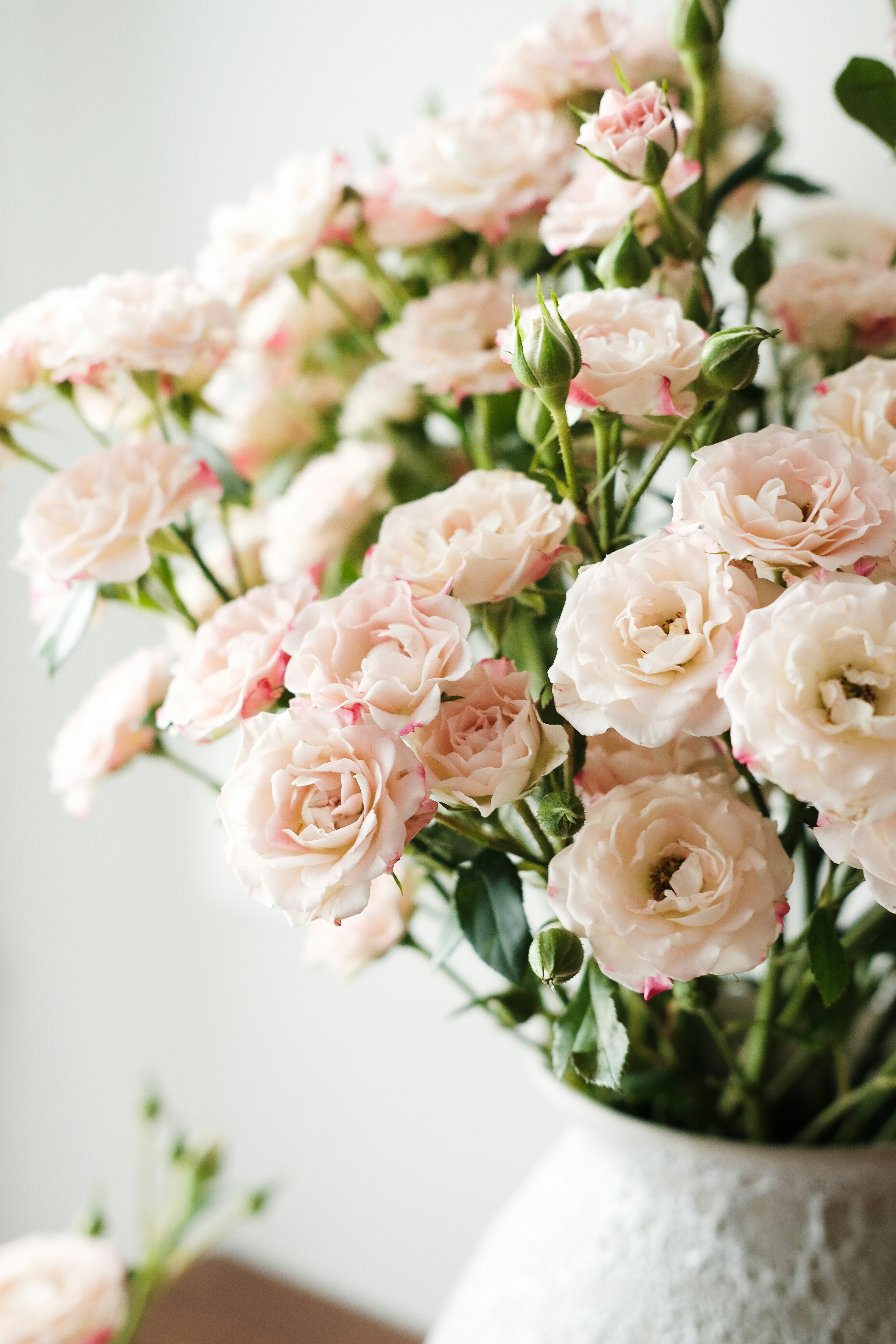 Photo by nganduong93