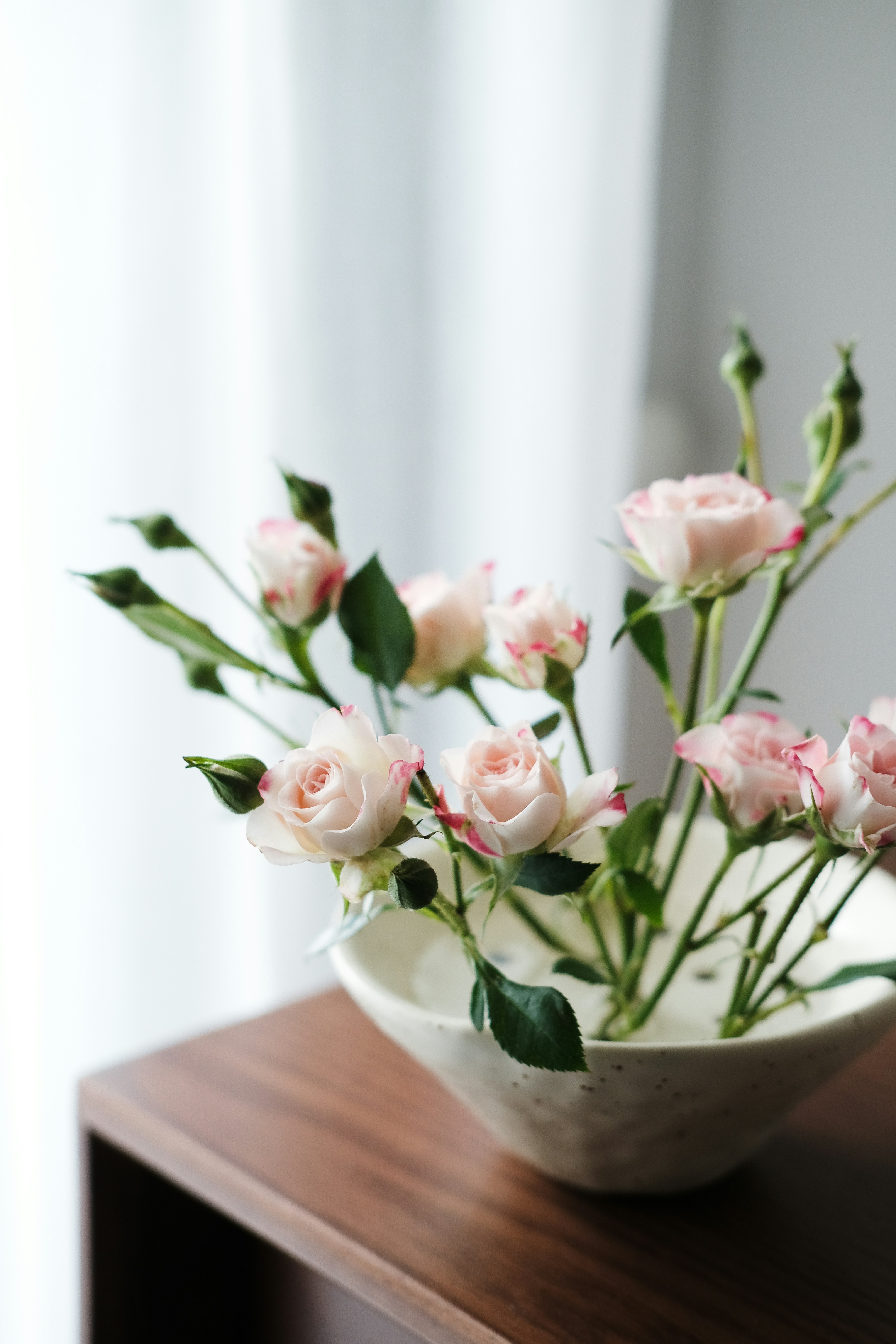 Photo by nganduong93