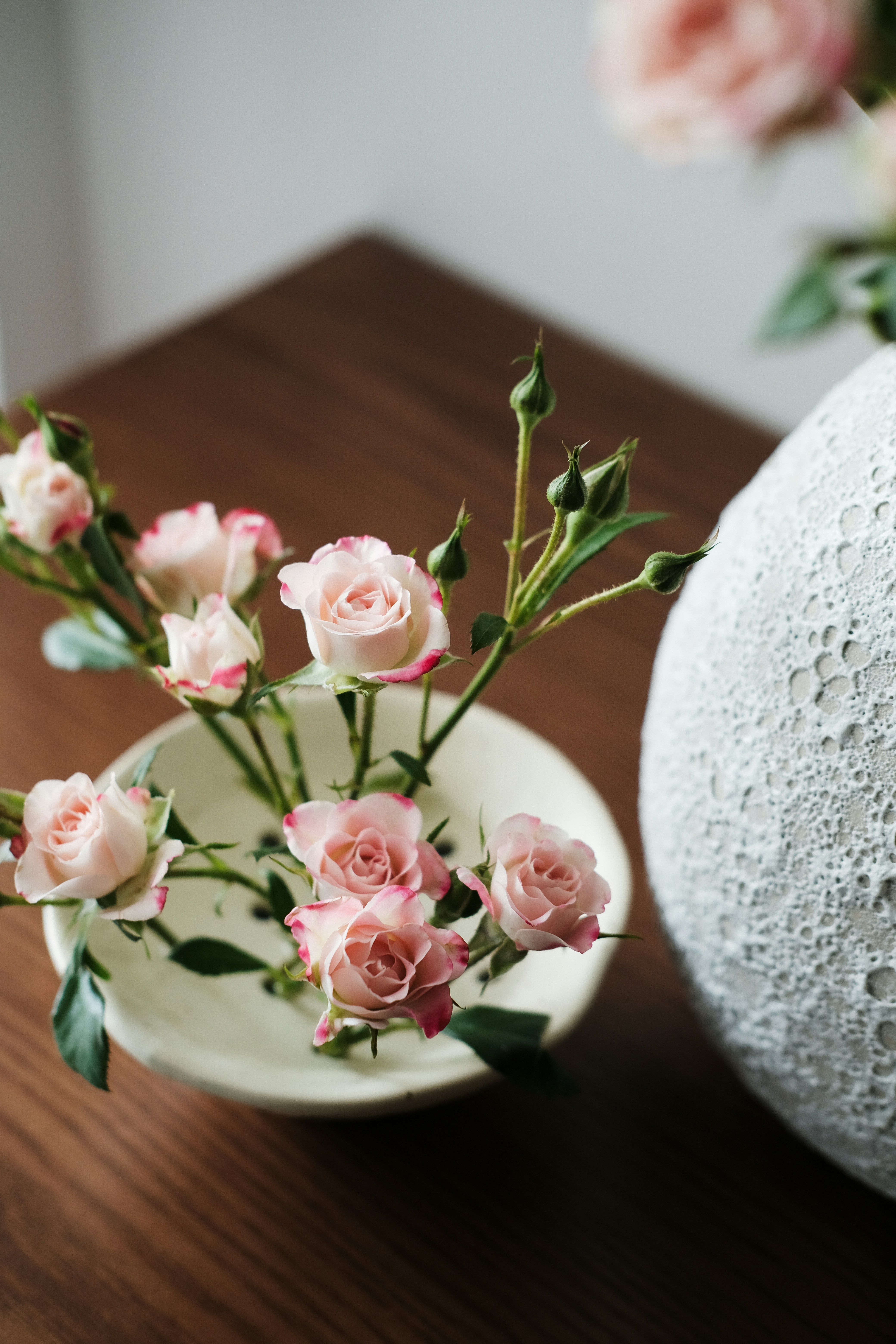 Photo by nganduong93