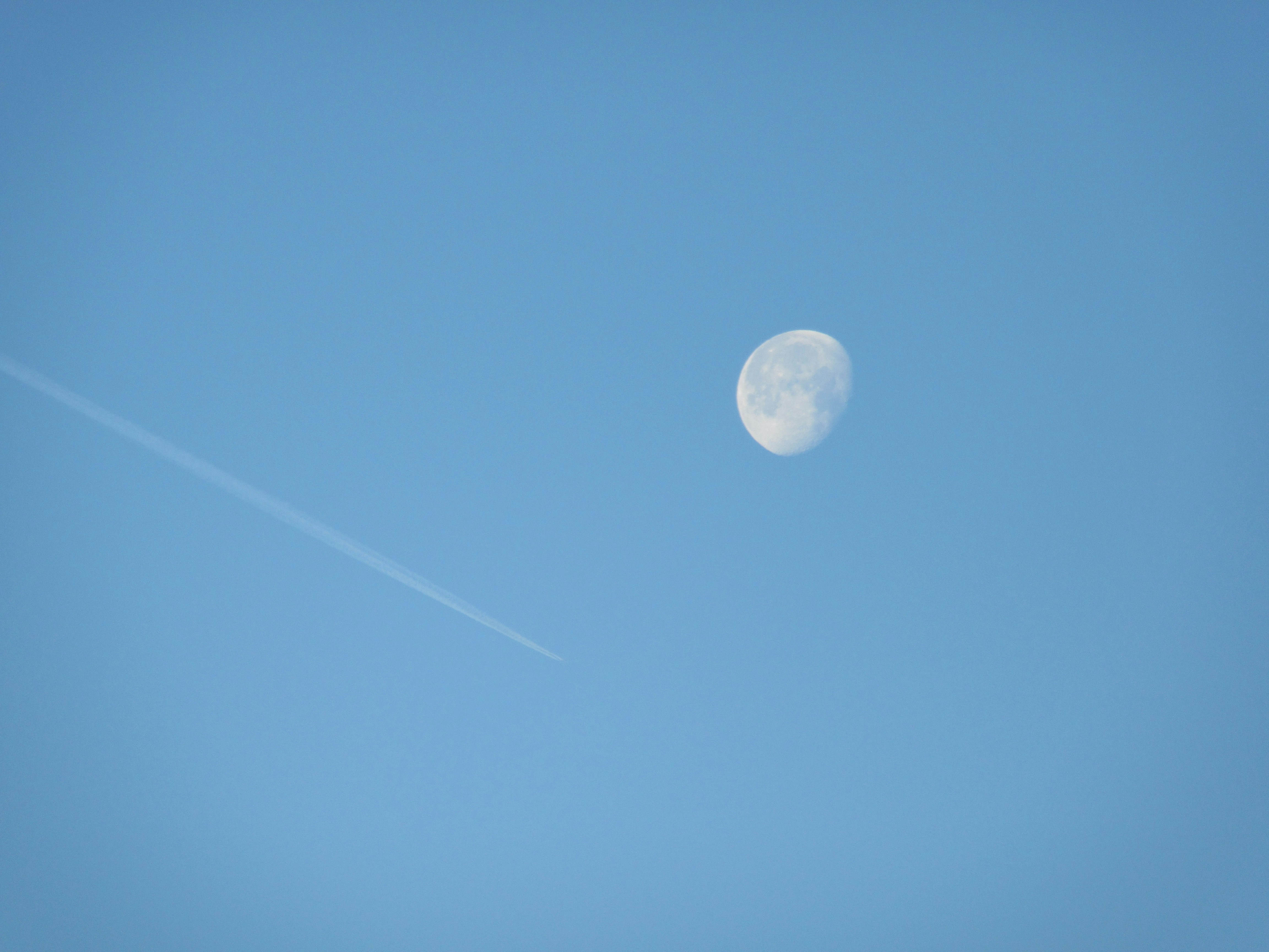 Photo by balint_miko