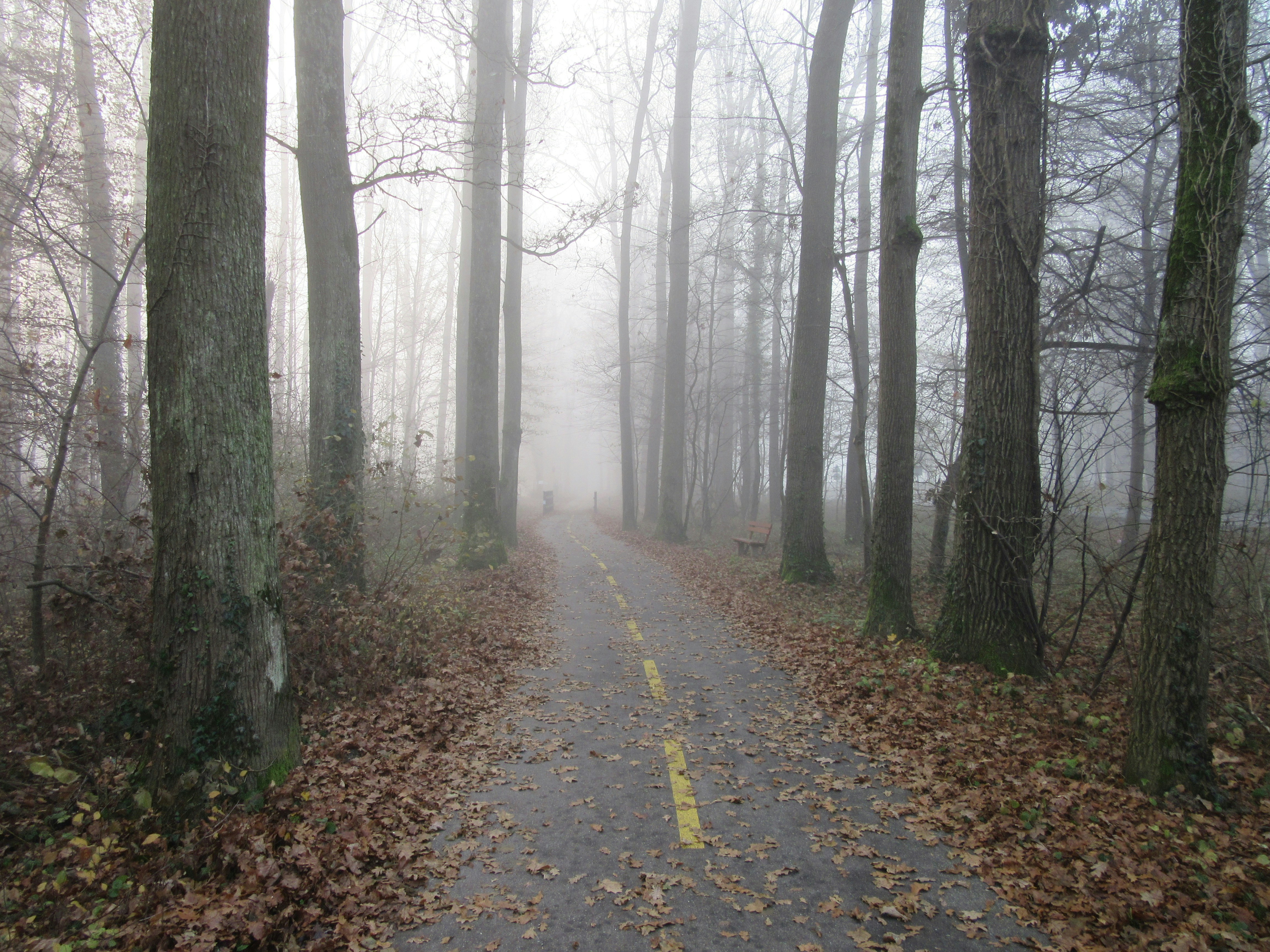 Photo by balint_miko