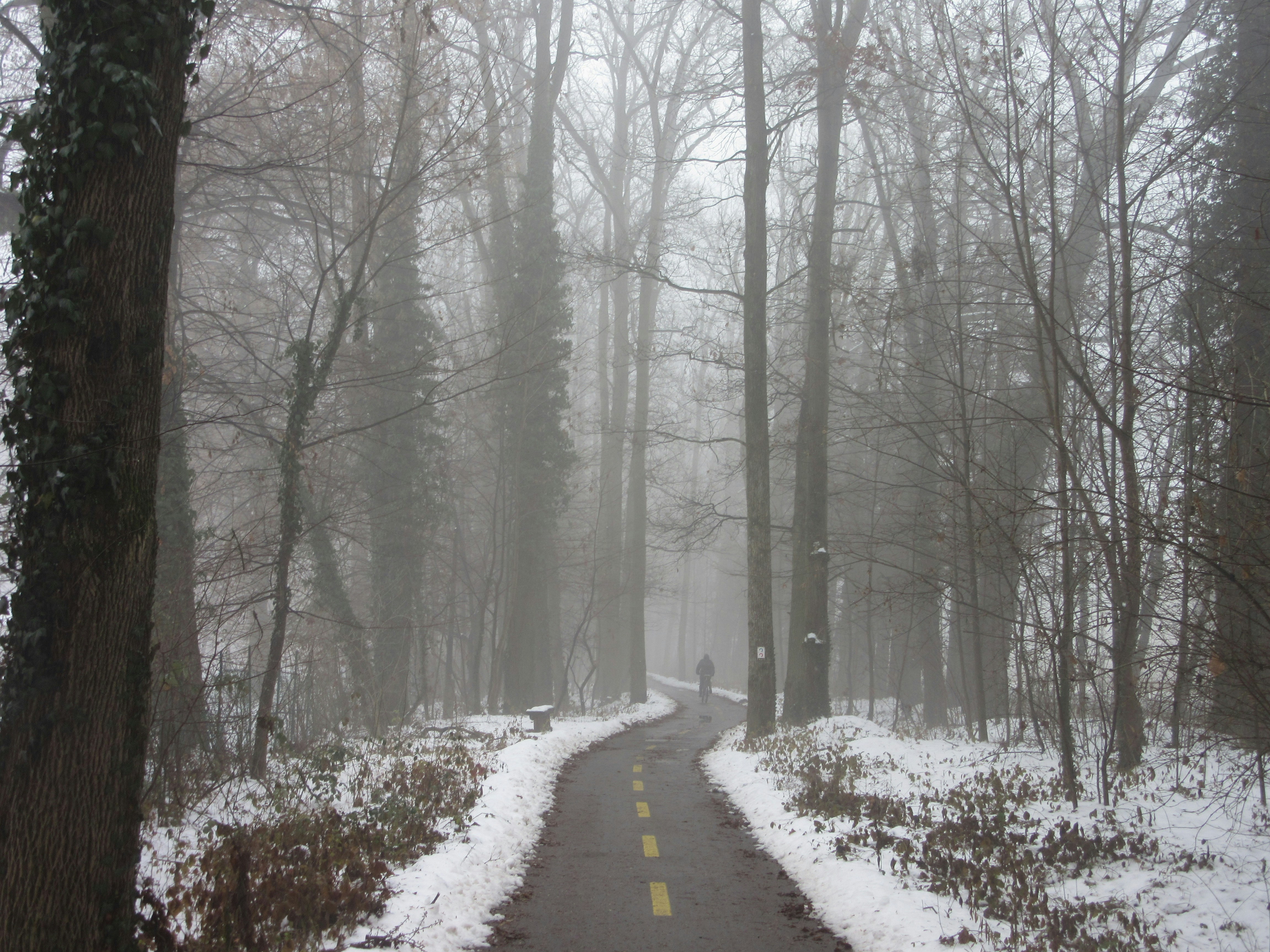 Photo by balint_miko