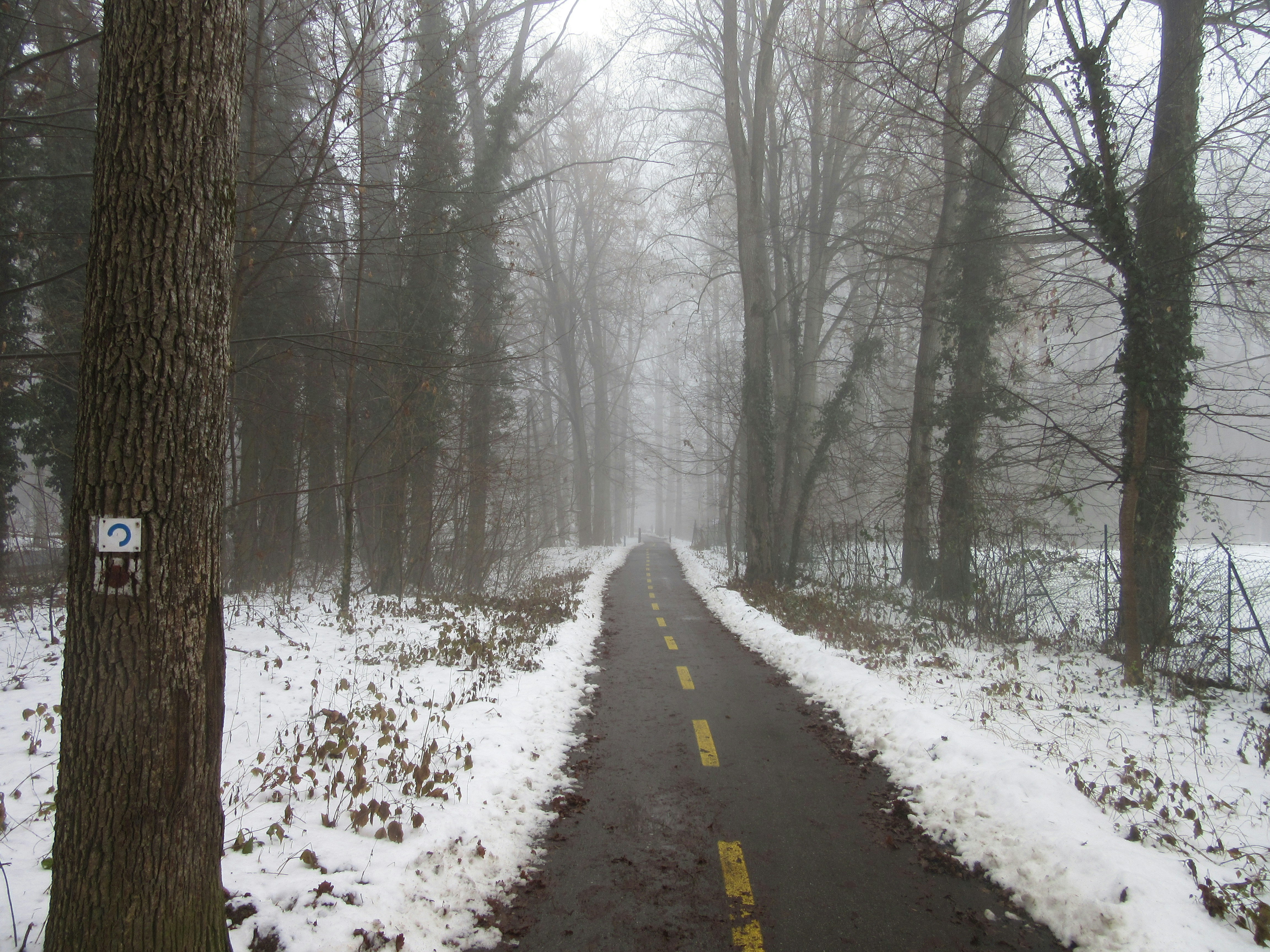 Photo by balint_miko