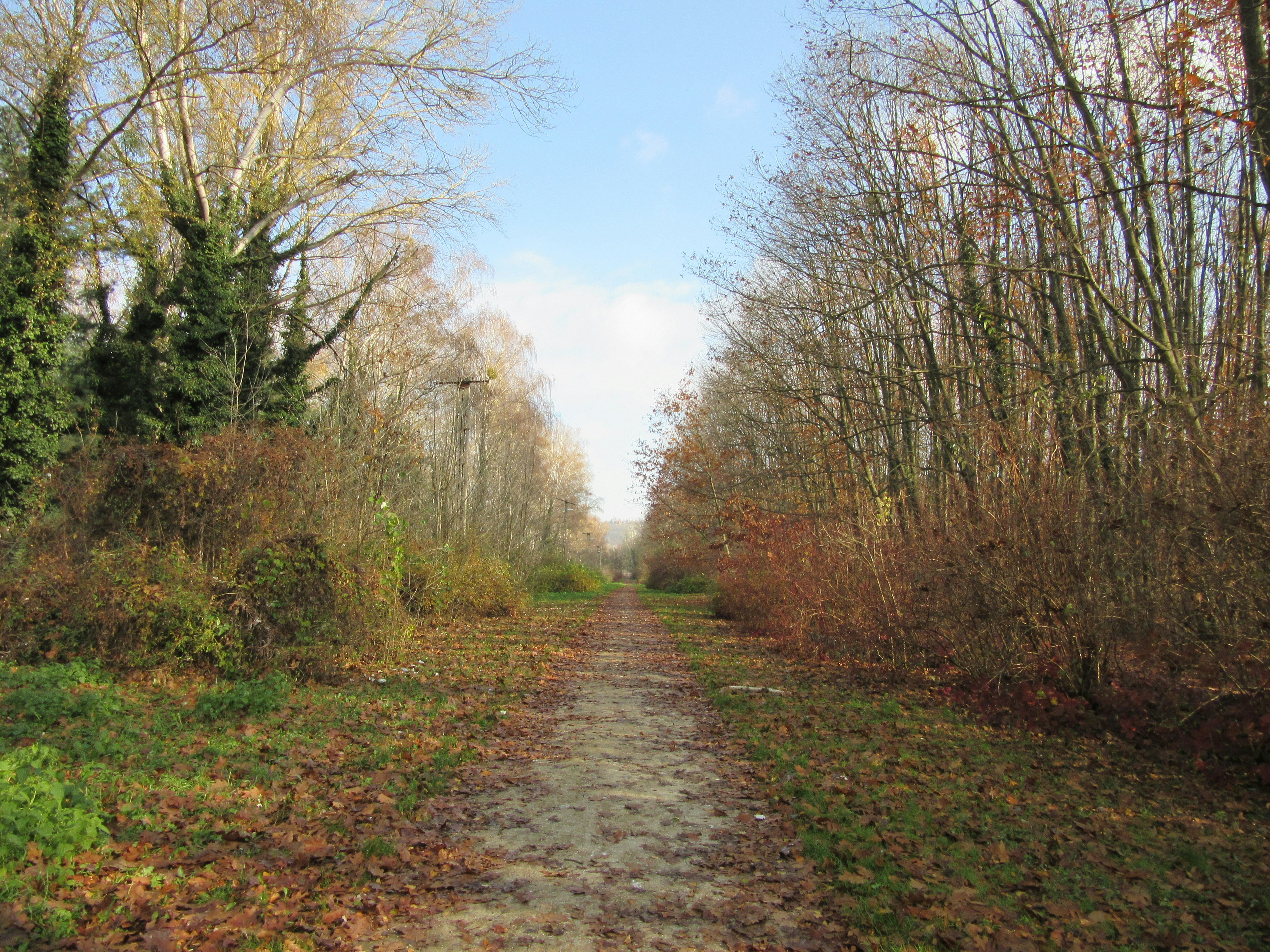 Photo by balint_miko