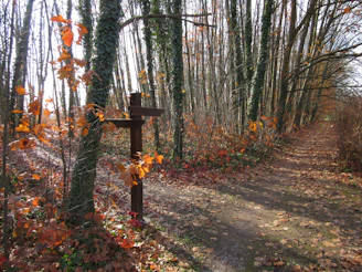 A cross in the middle of a forest