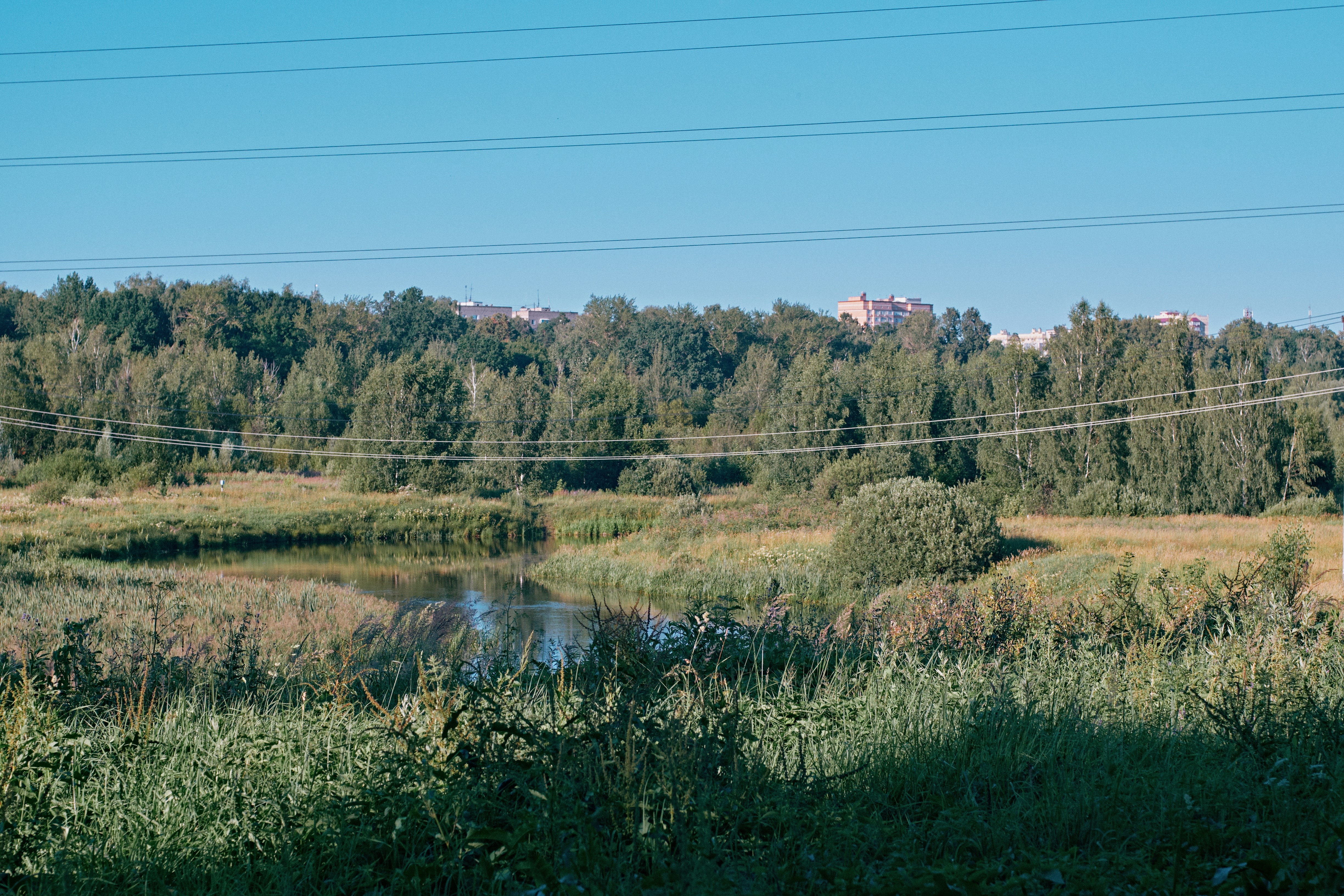 Photo by jasper95