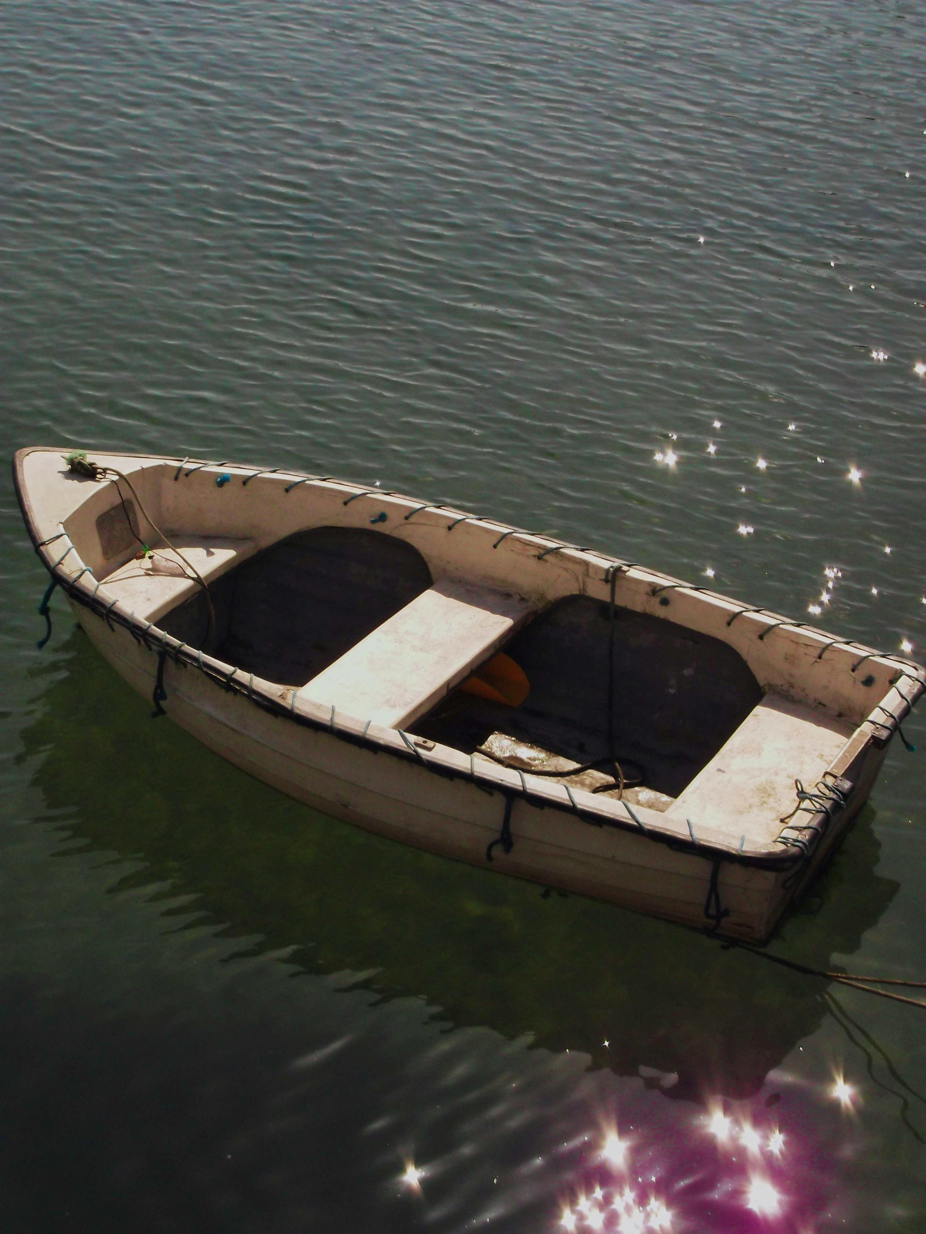 Photo by maya_mila21