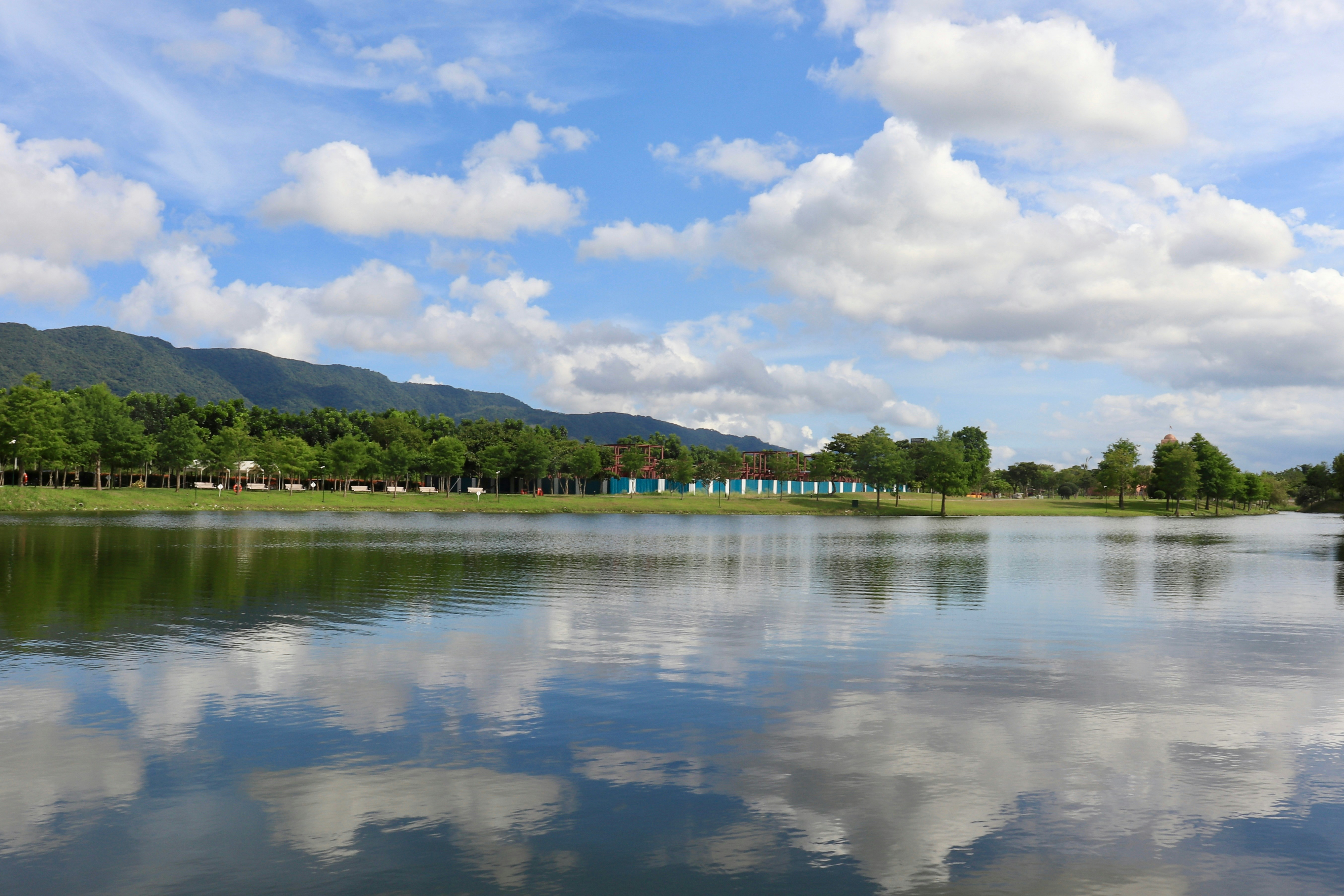 A large body of water surrounded by a forest