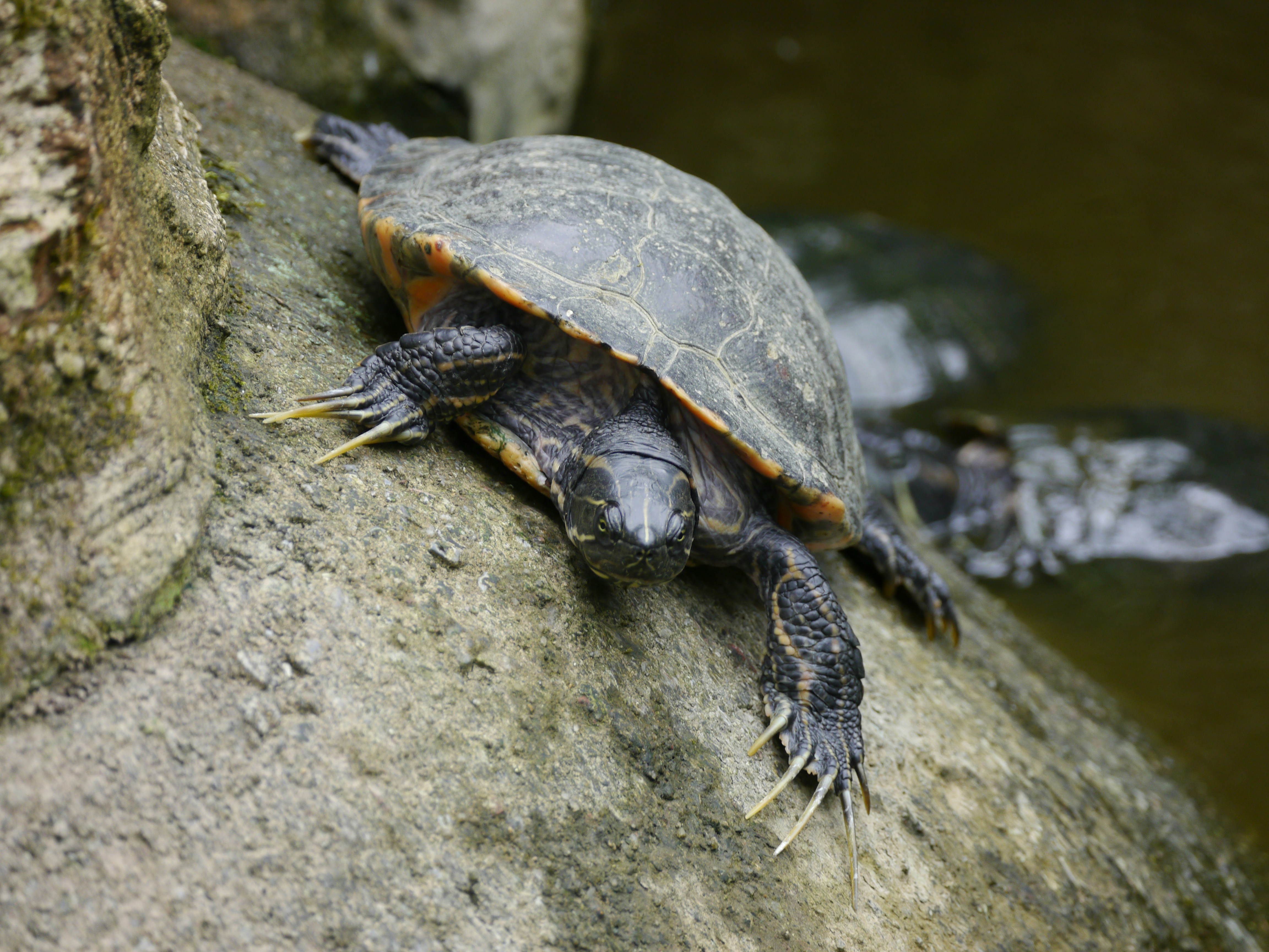 Photo by iqsphotography