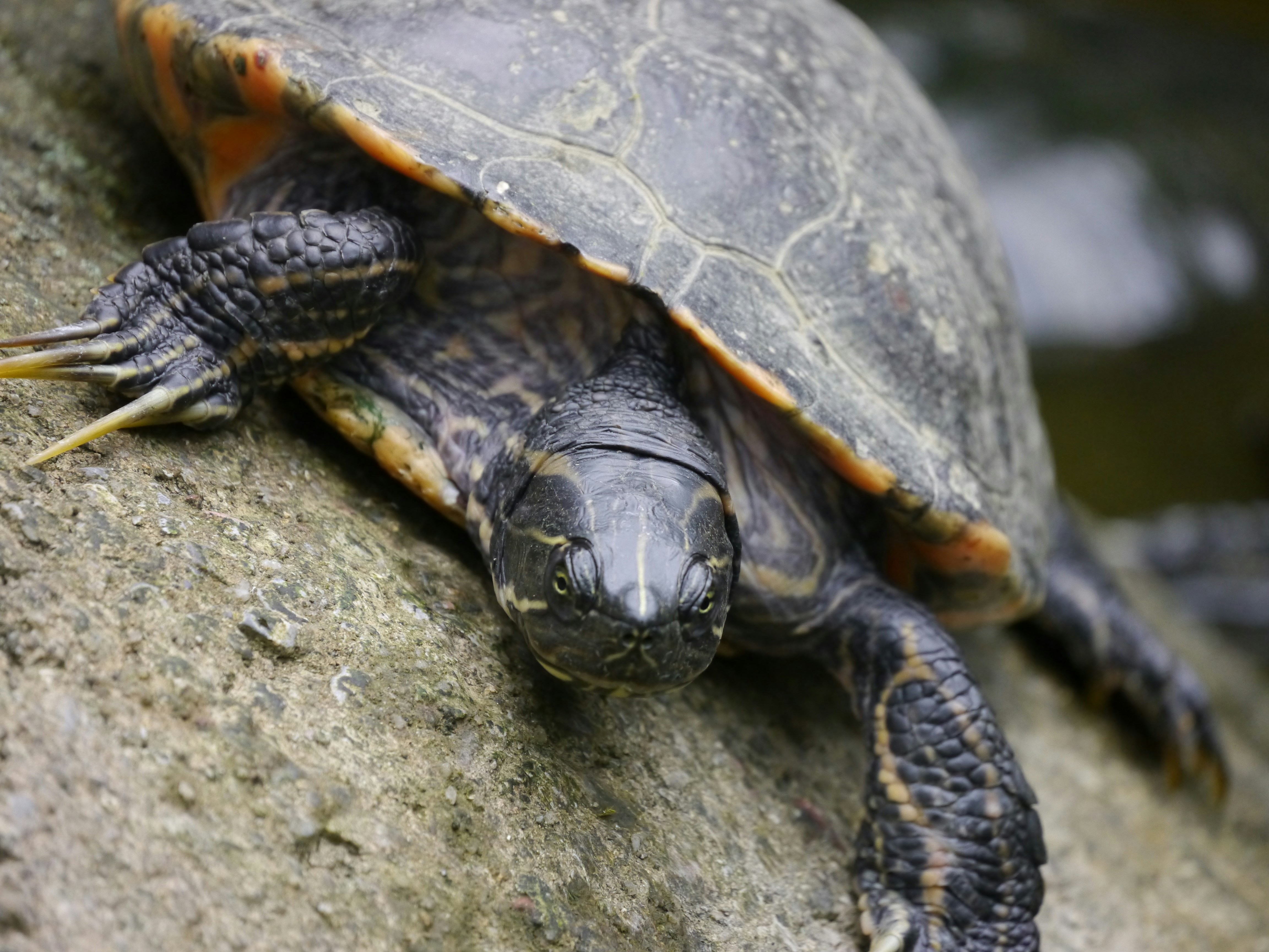 Photo by iqsphotography