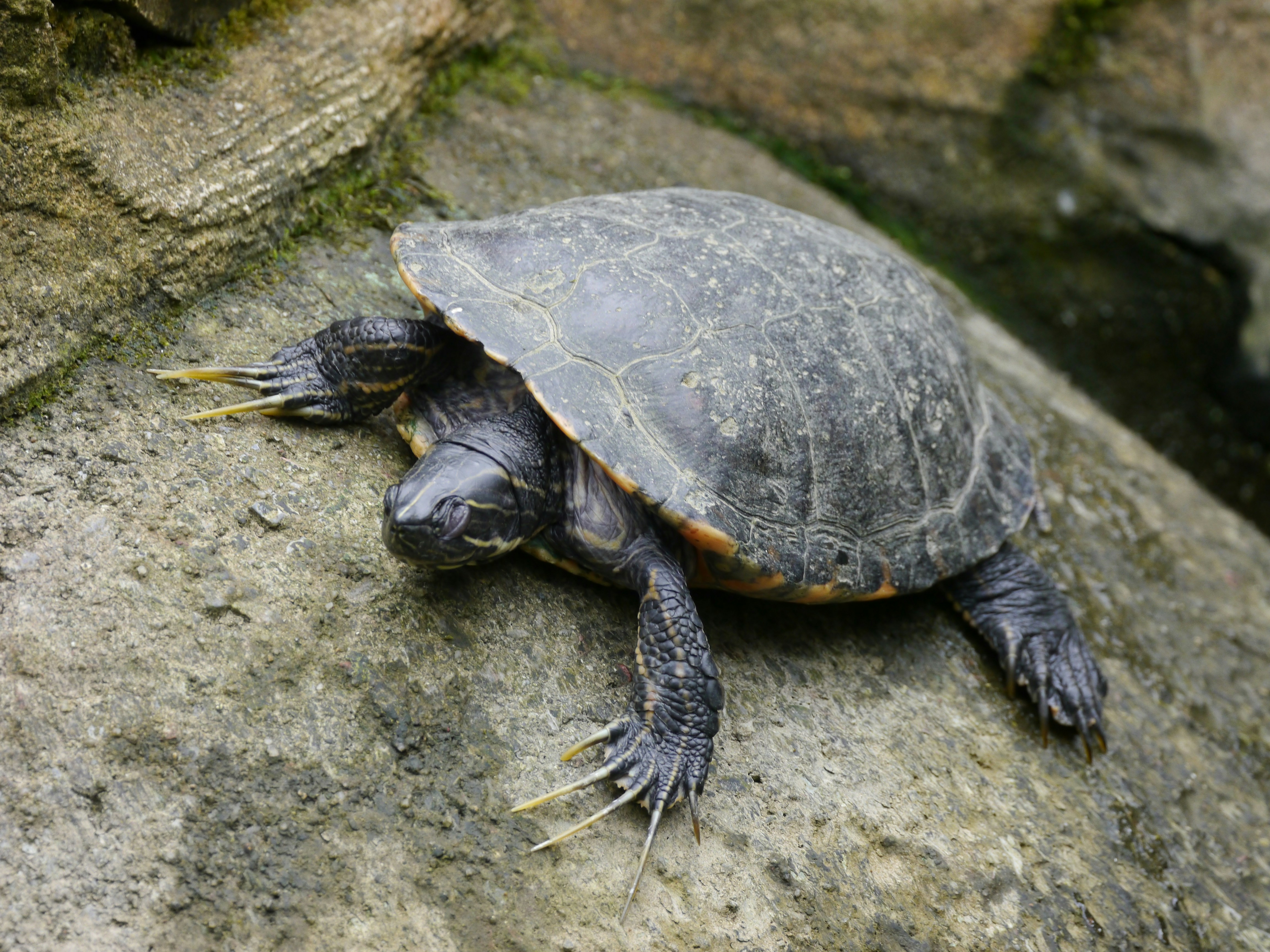 Photo by iqsphotography