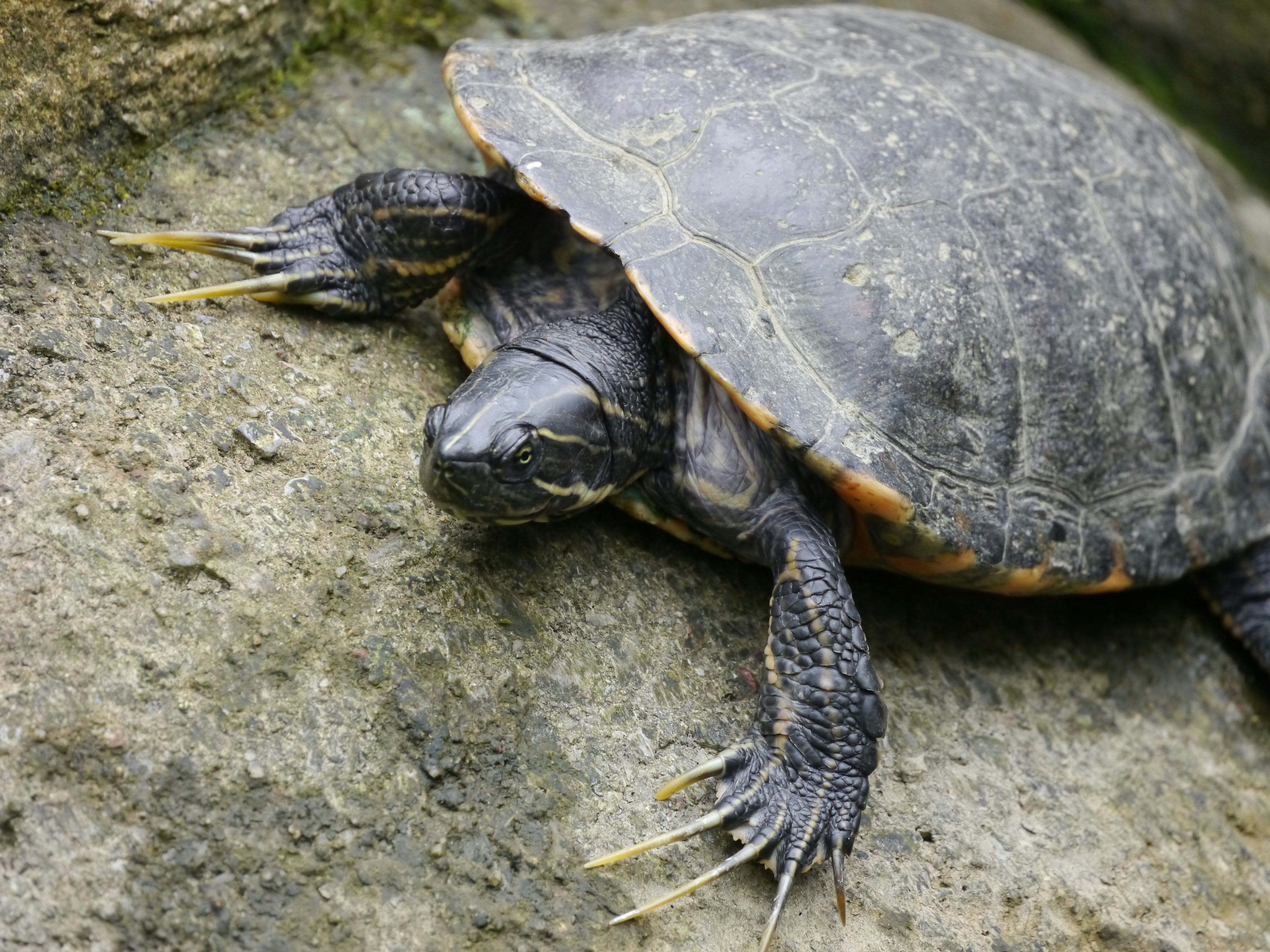 Photo by iqsphotography