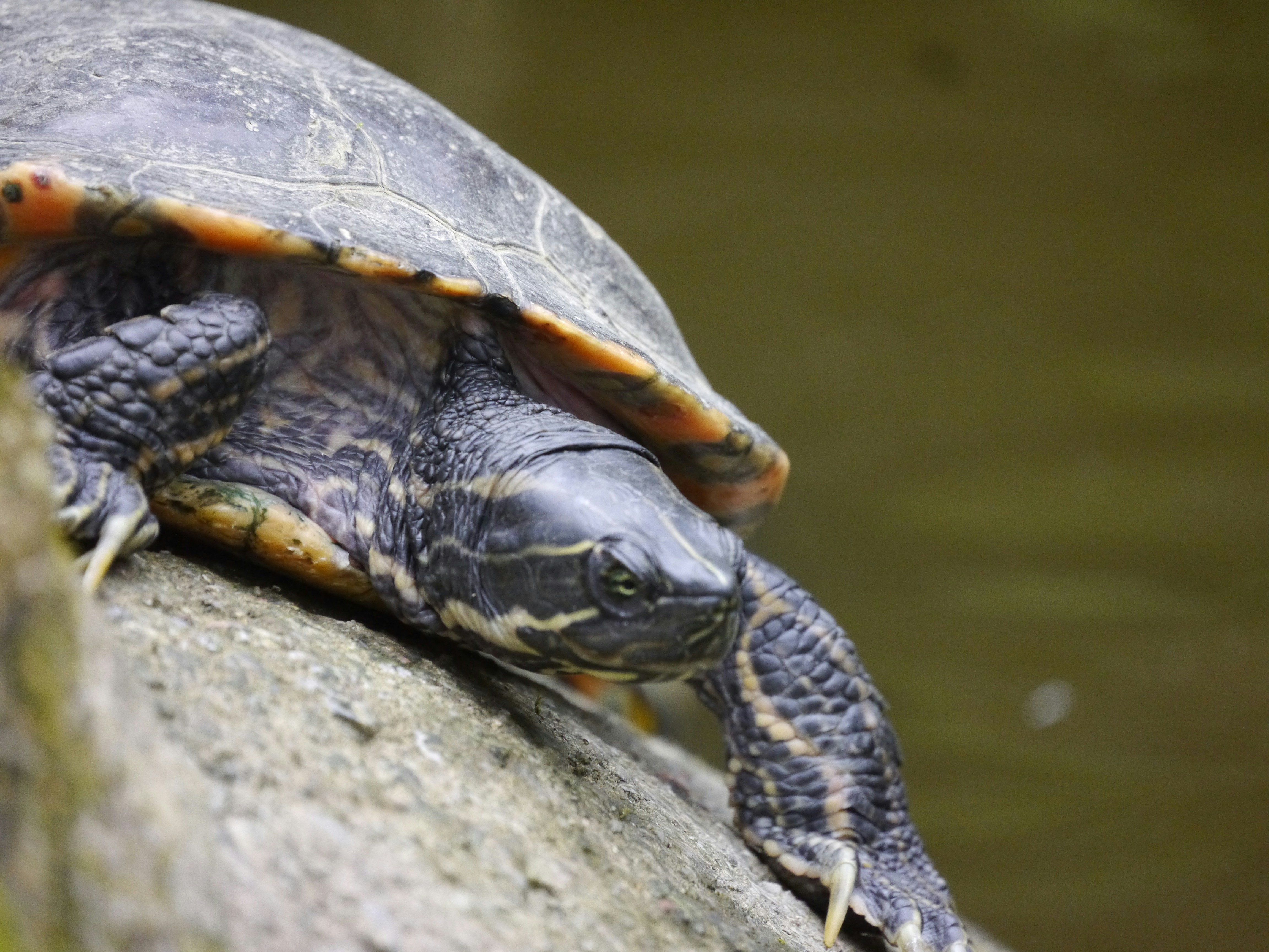 Photo by iqsphotography