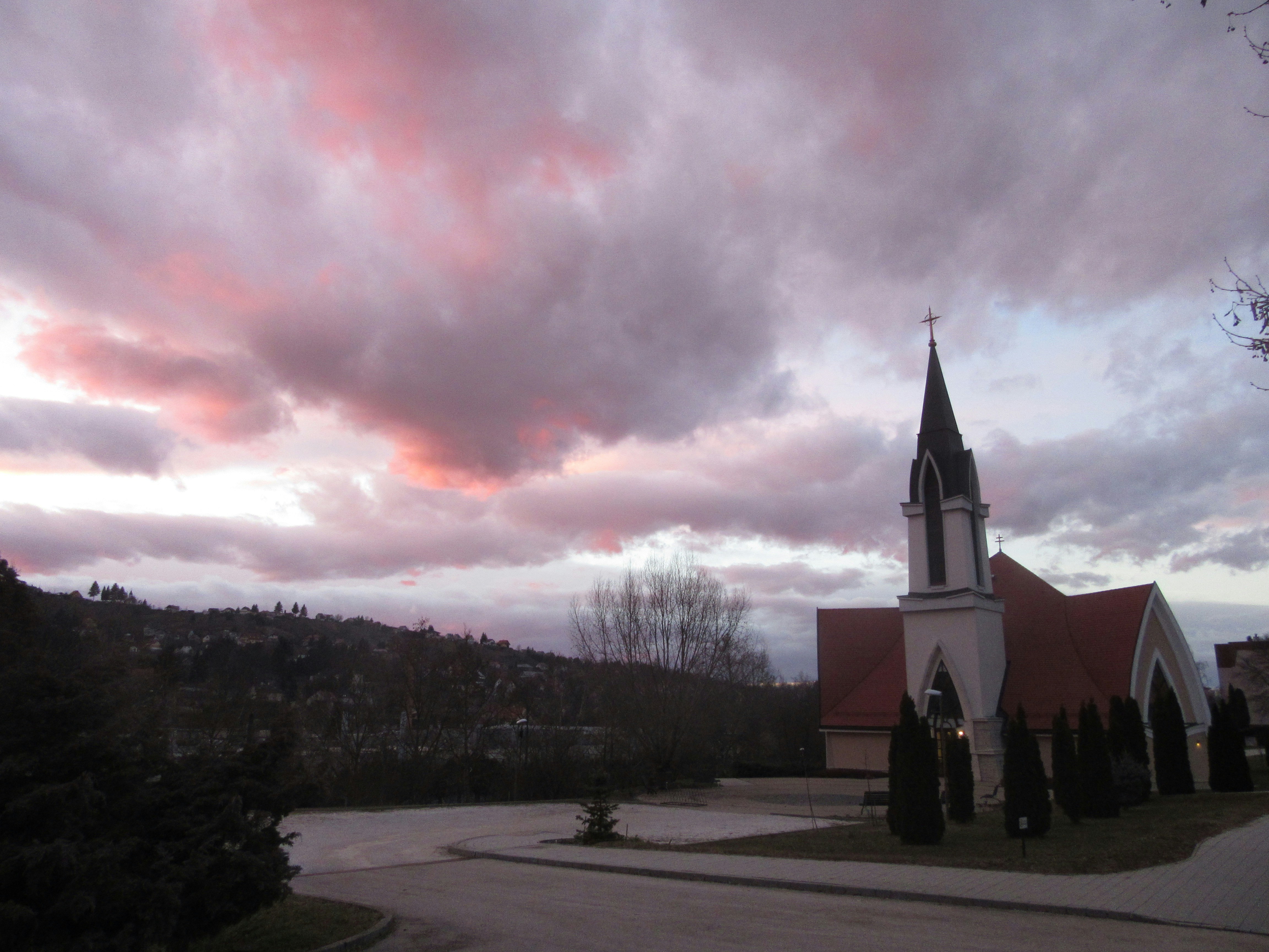 Photo by balint_miko