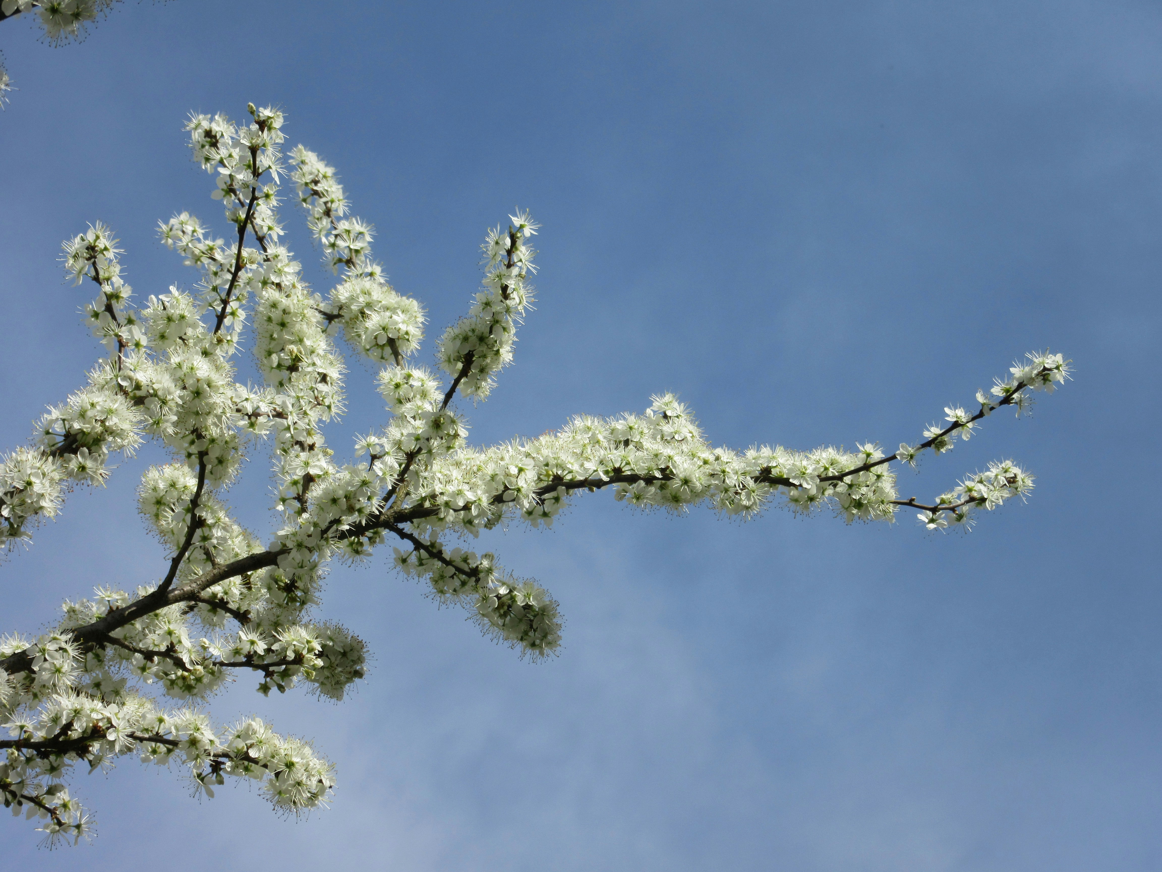 Photo by balint_miko