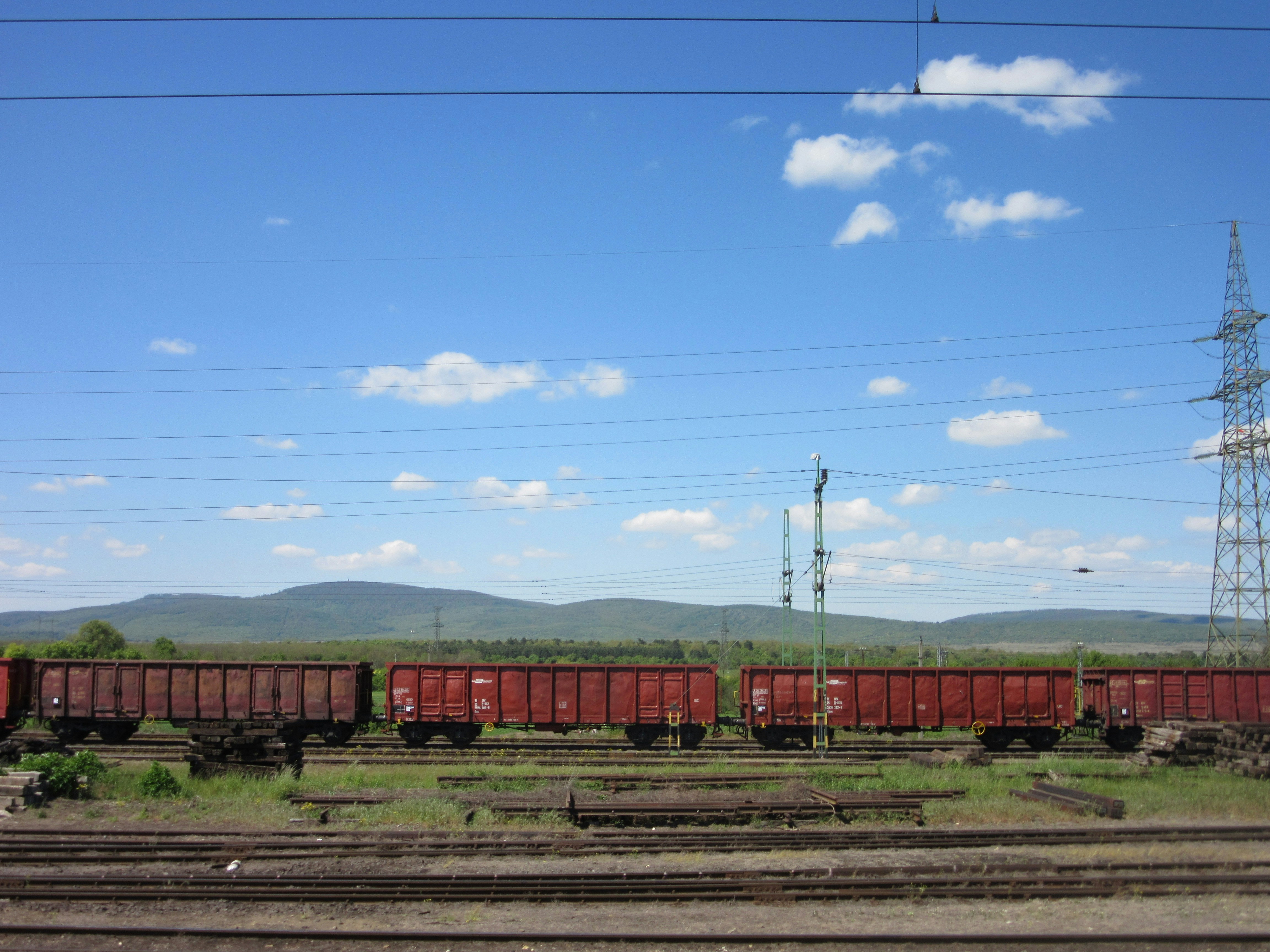 Photo by balint_miko