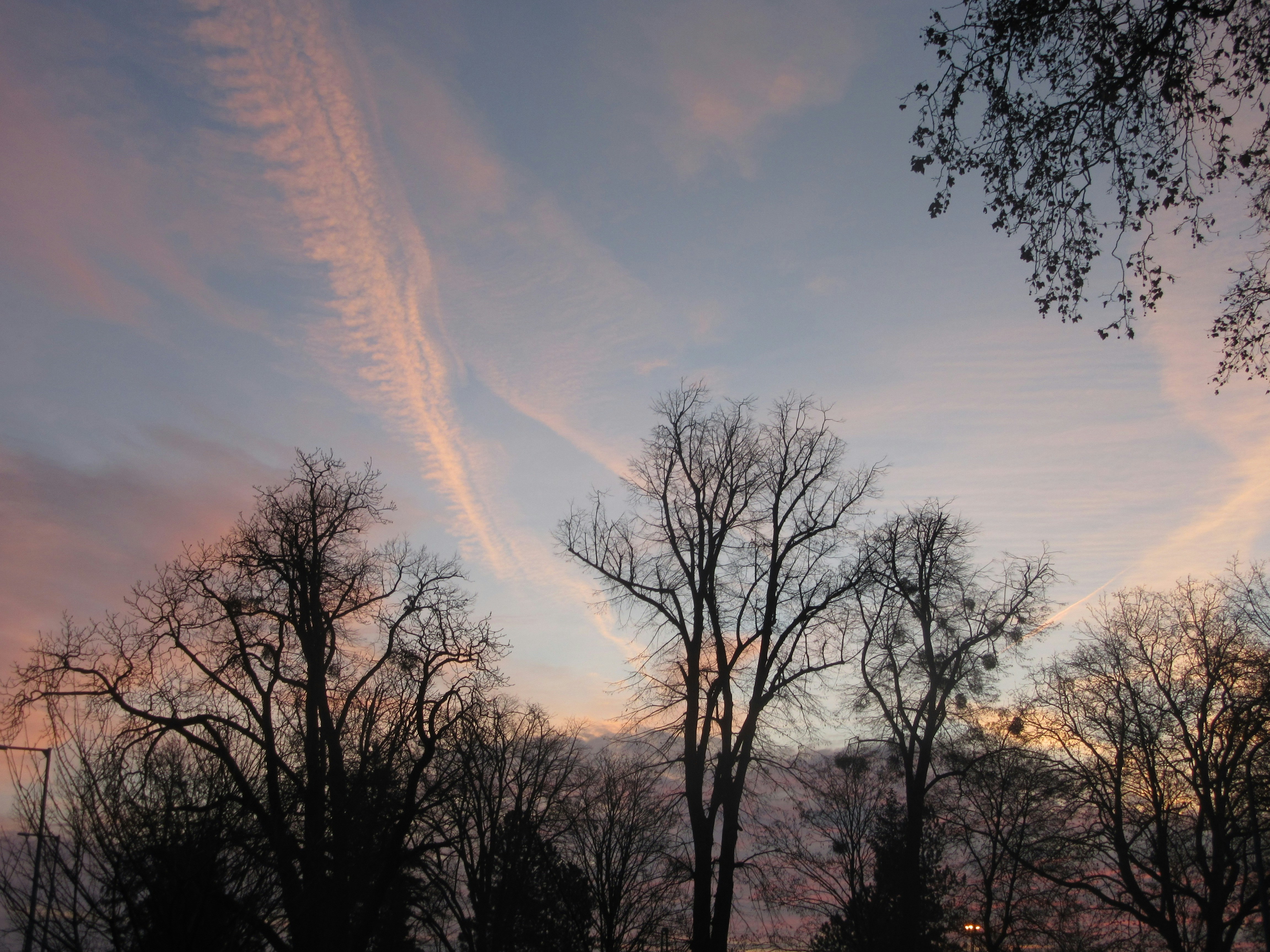 Photo by balint_miko