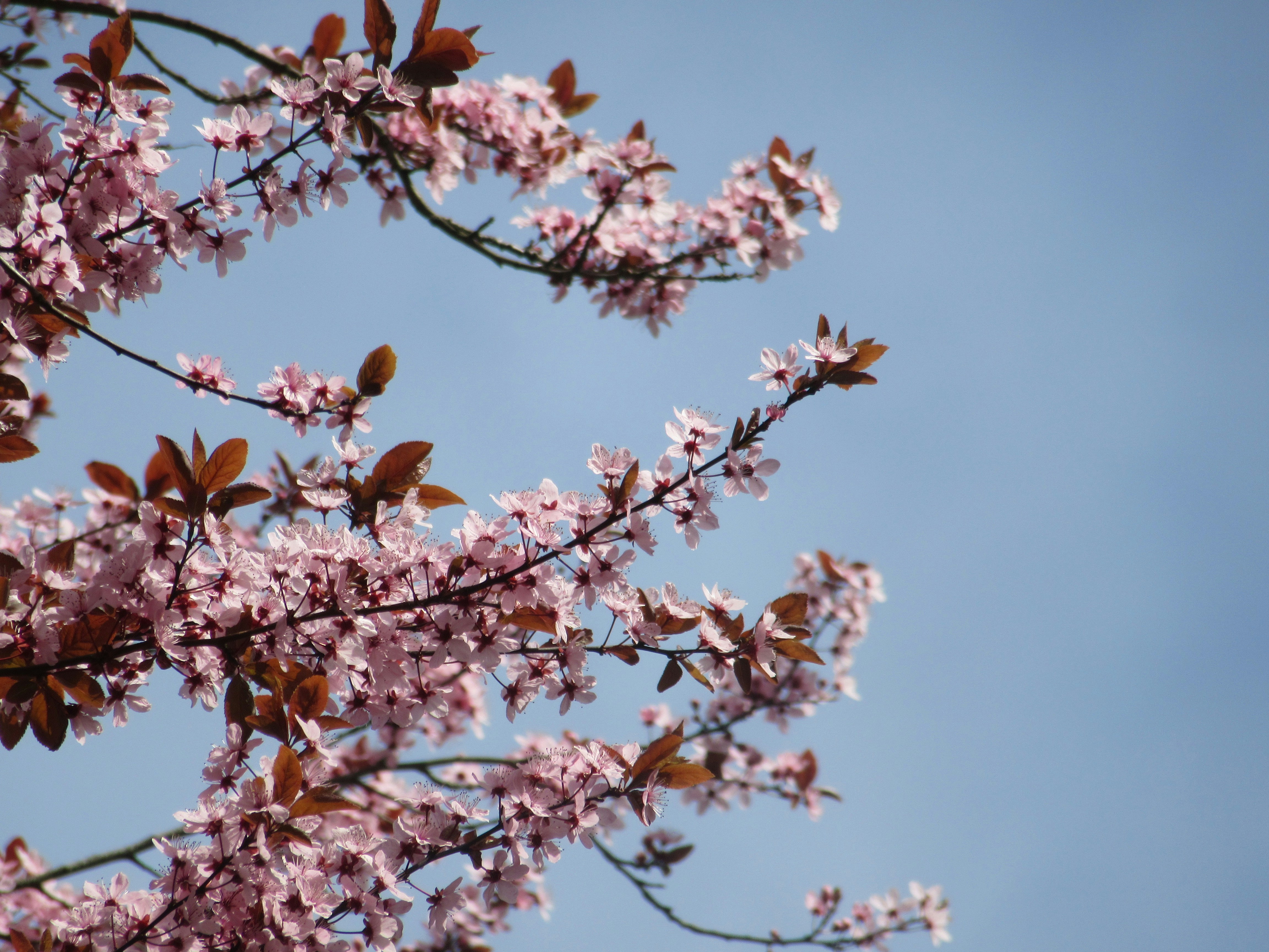 Photo by balint_miko