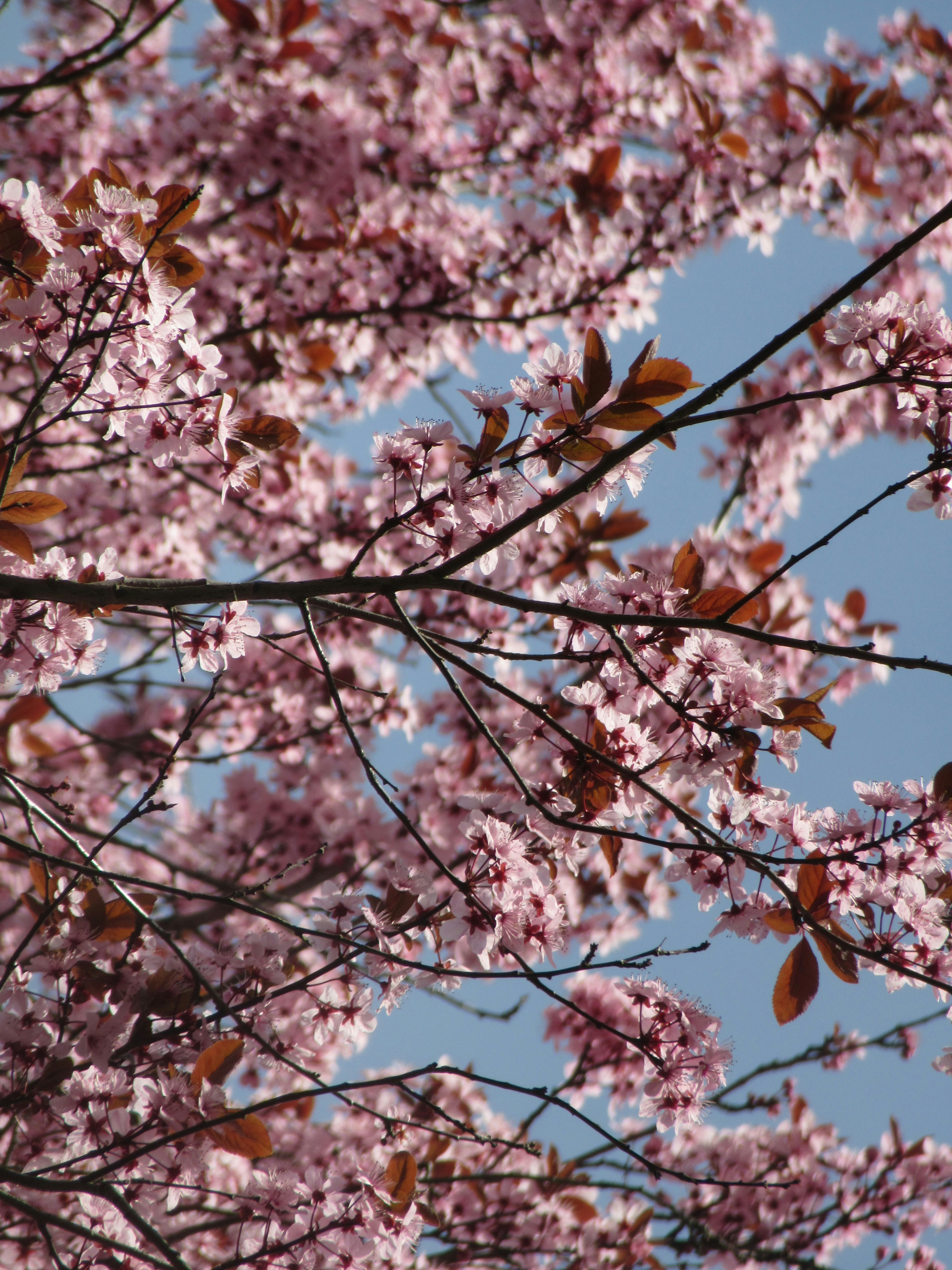 Photo by balint_miko