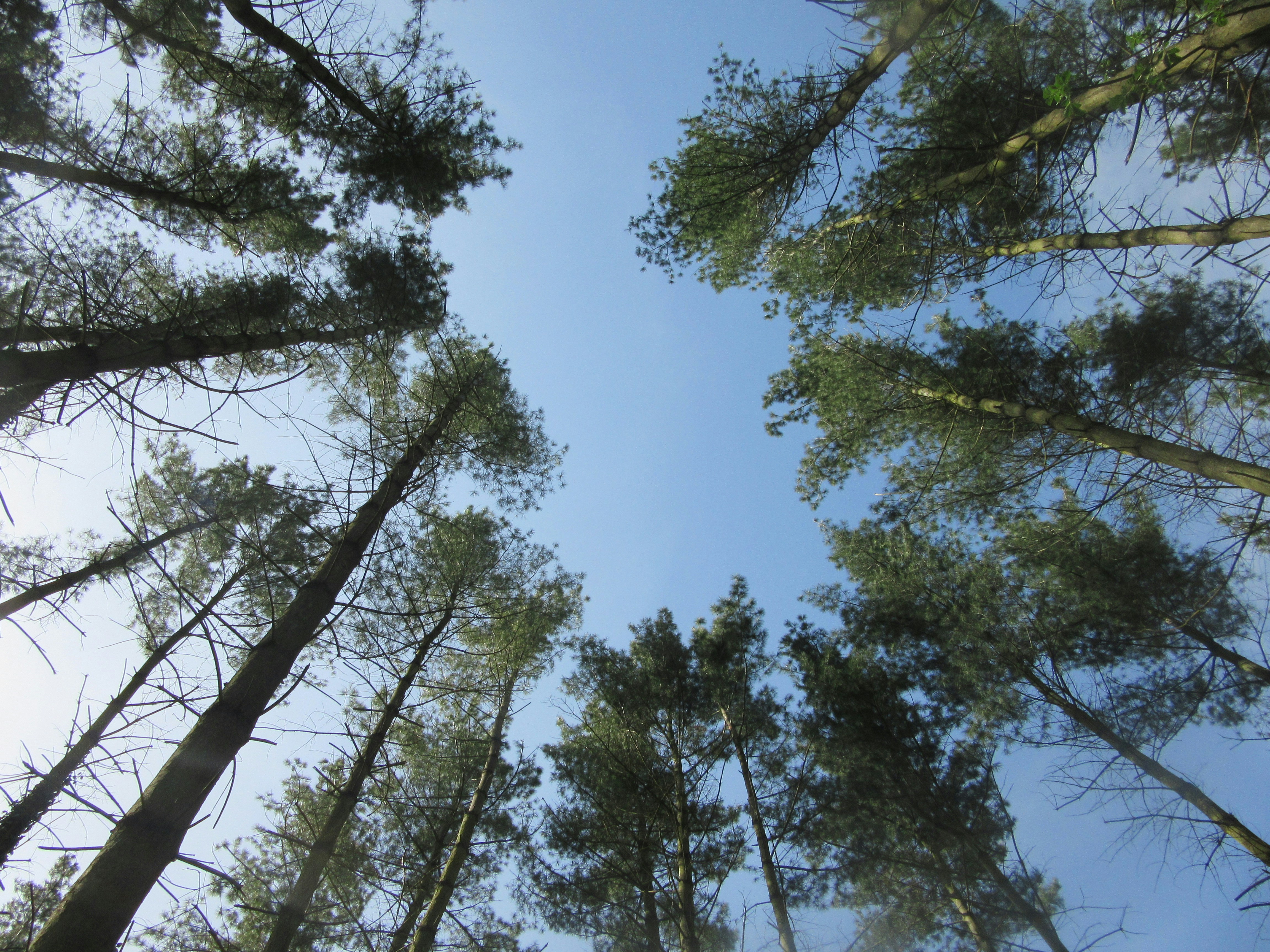 Photo by balint_miko