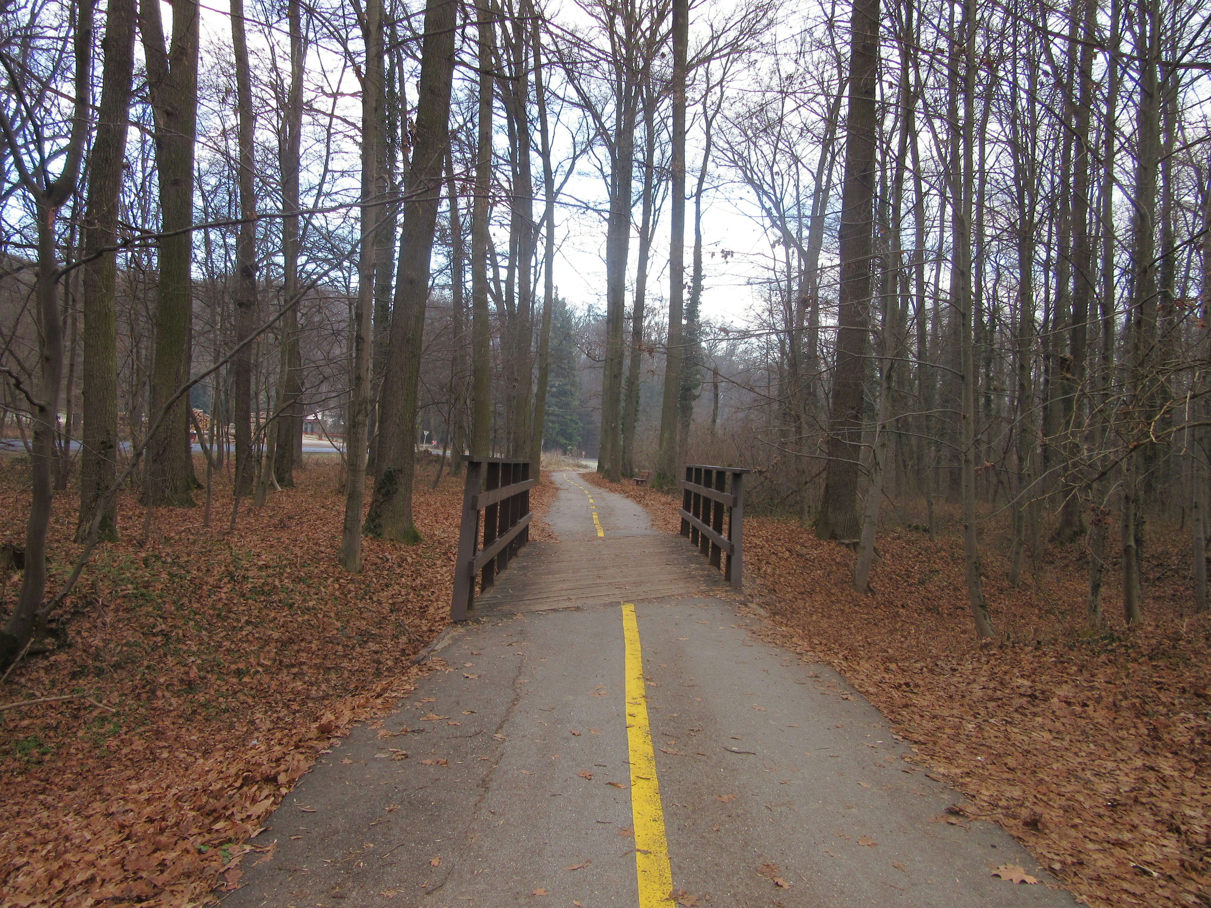 Photo by balint_miko