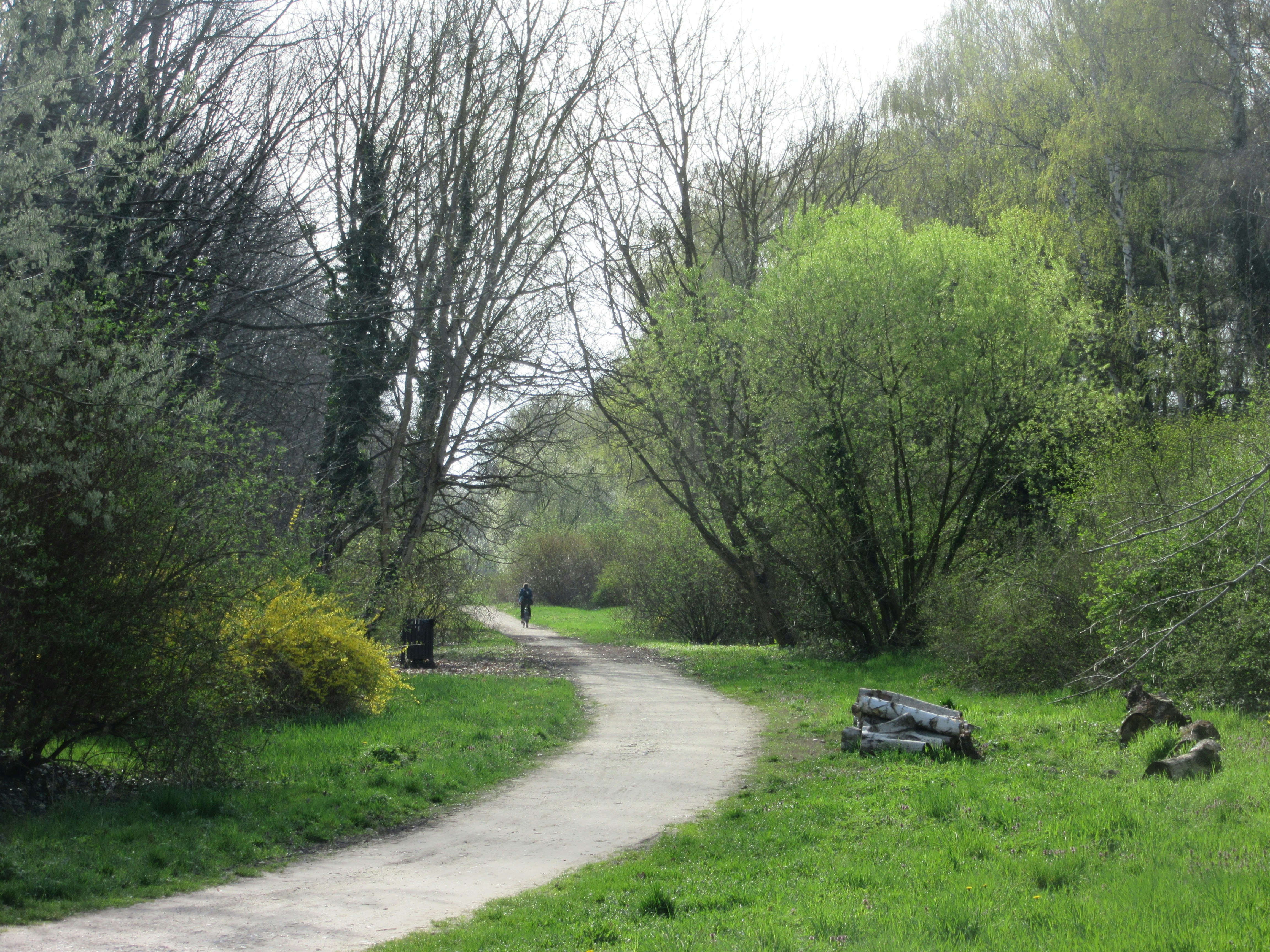 Photo by balint_miko