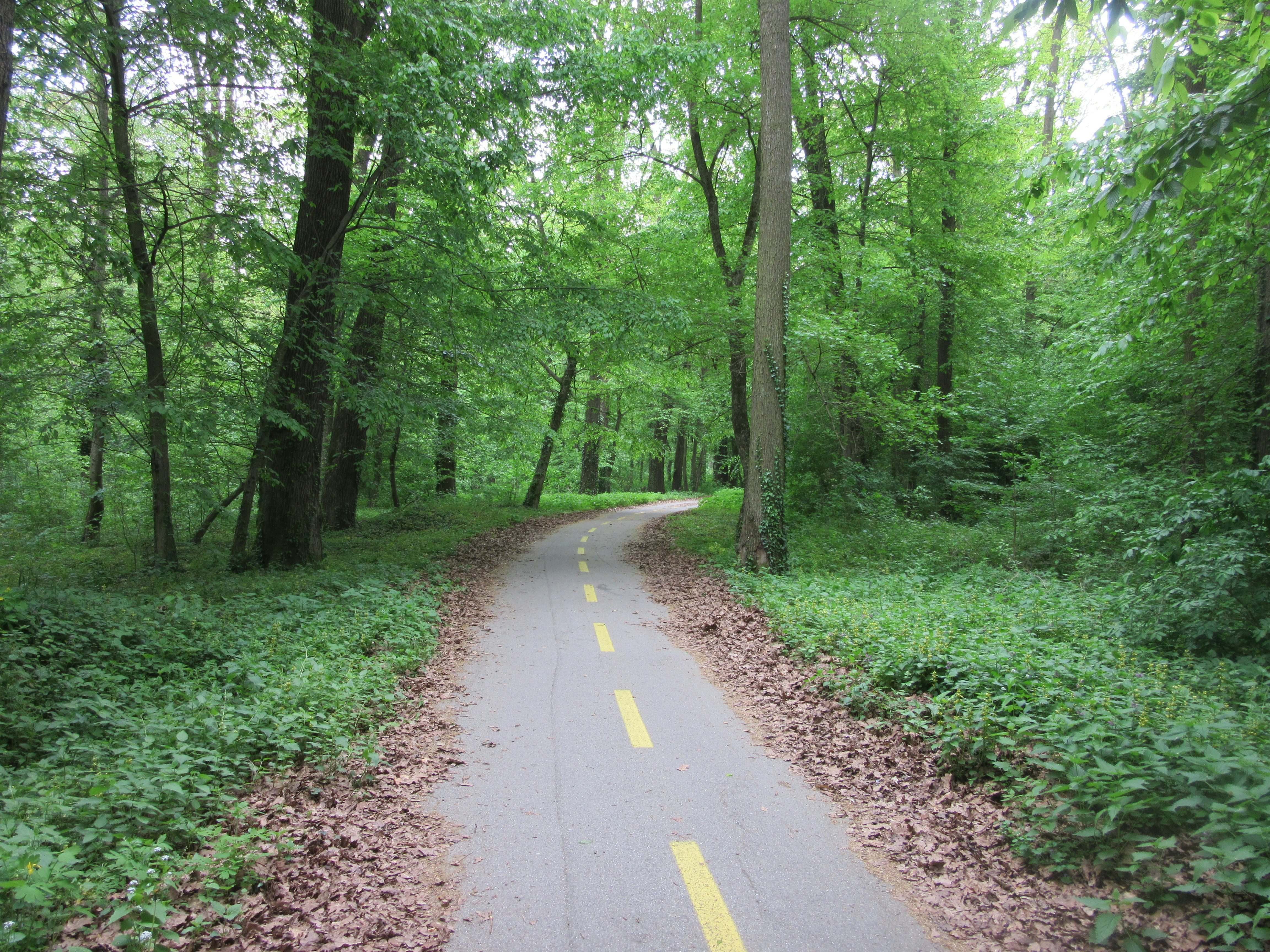 Photo by balint_miko