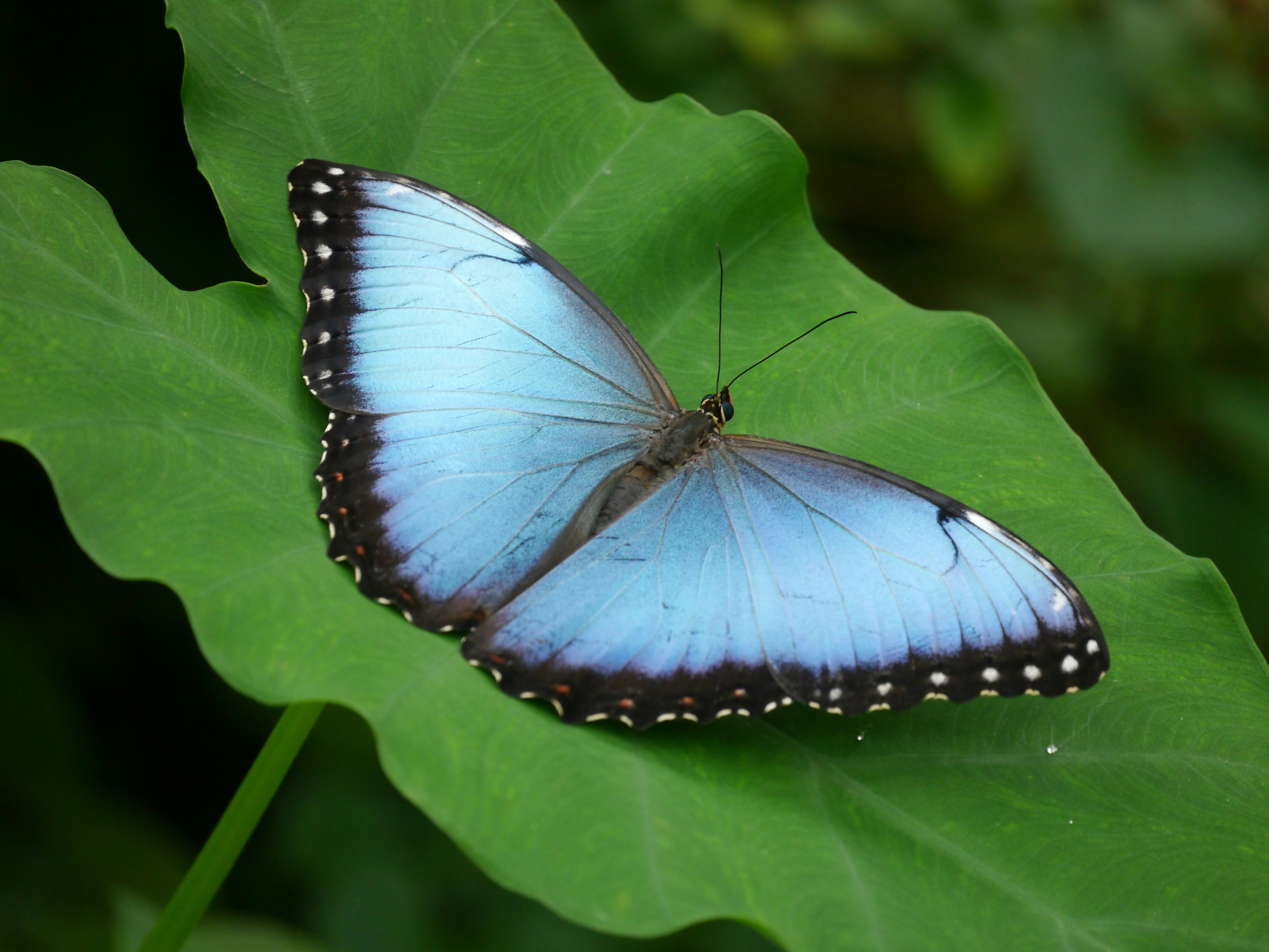 Photo by iqsphotography