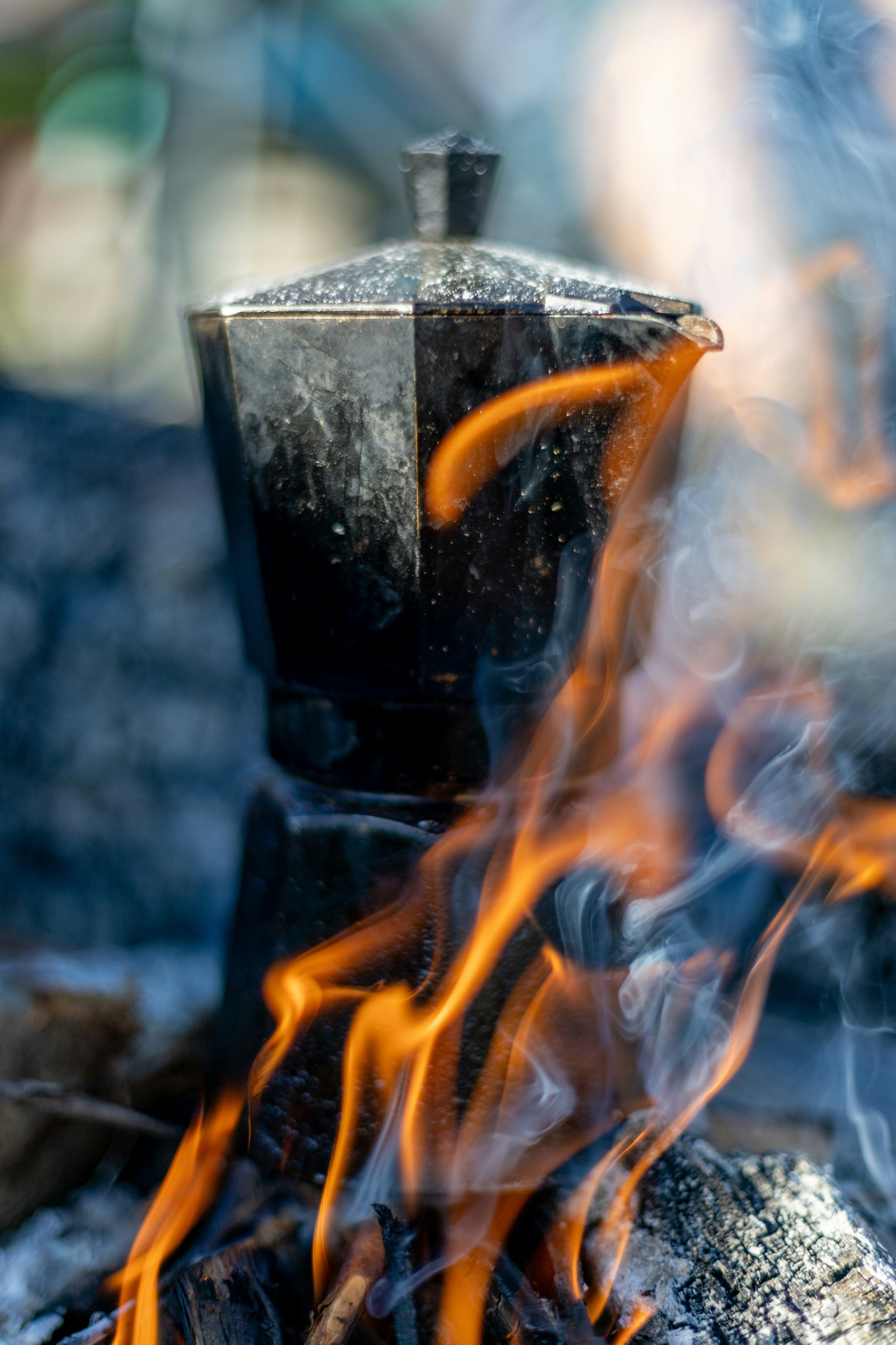 _279_ Treibgut im globalen Treibhaus