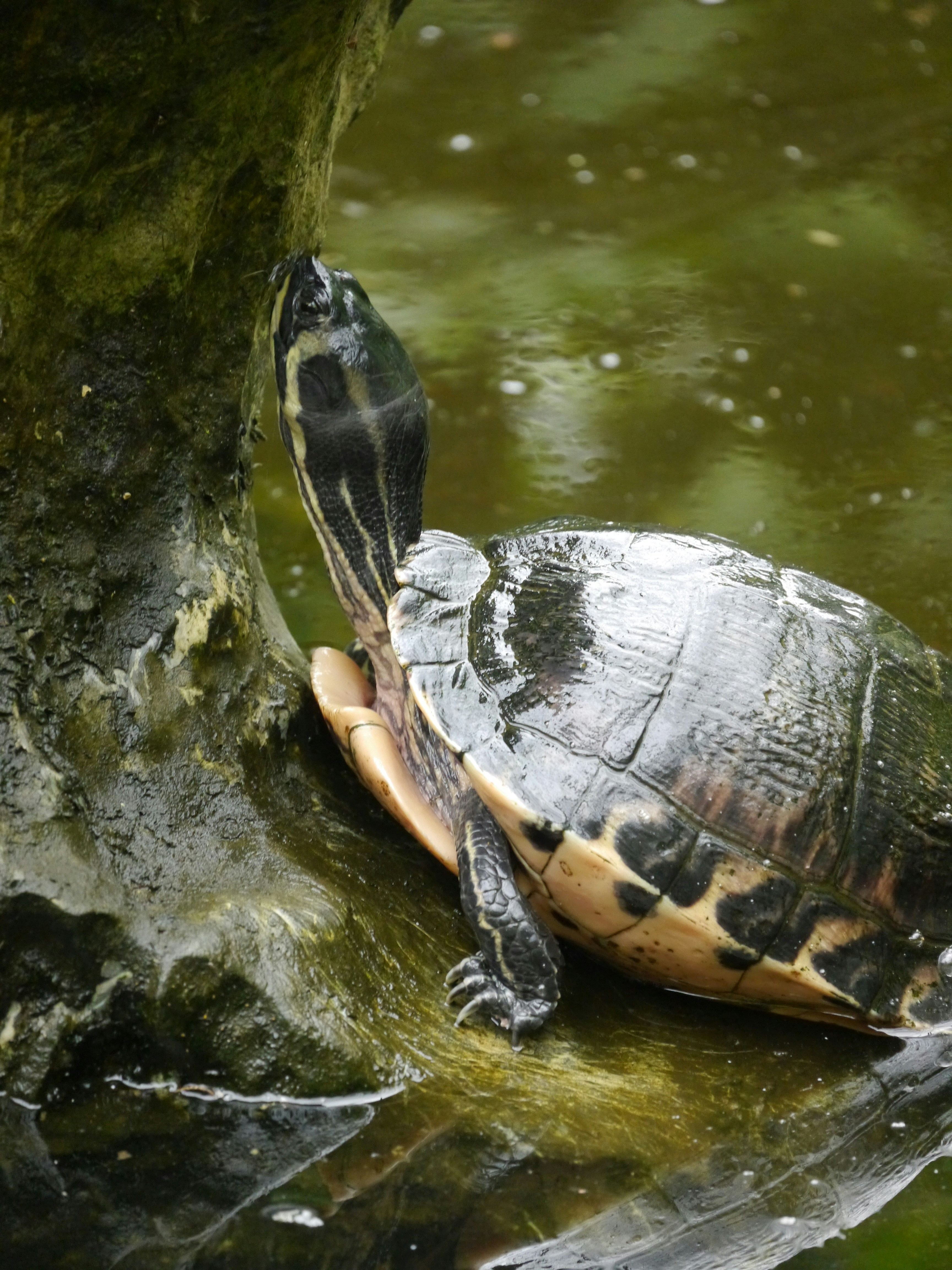 Photo by iqsphotography