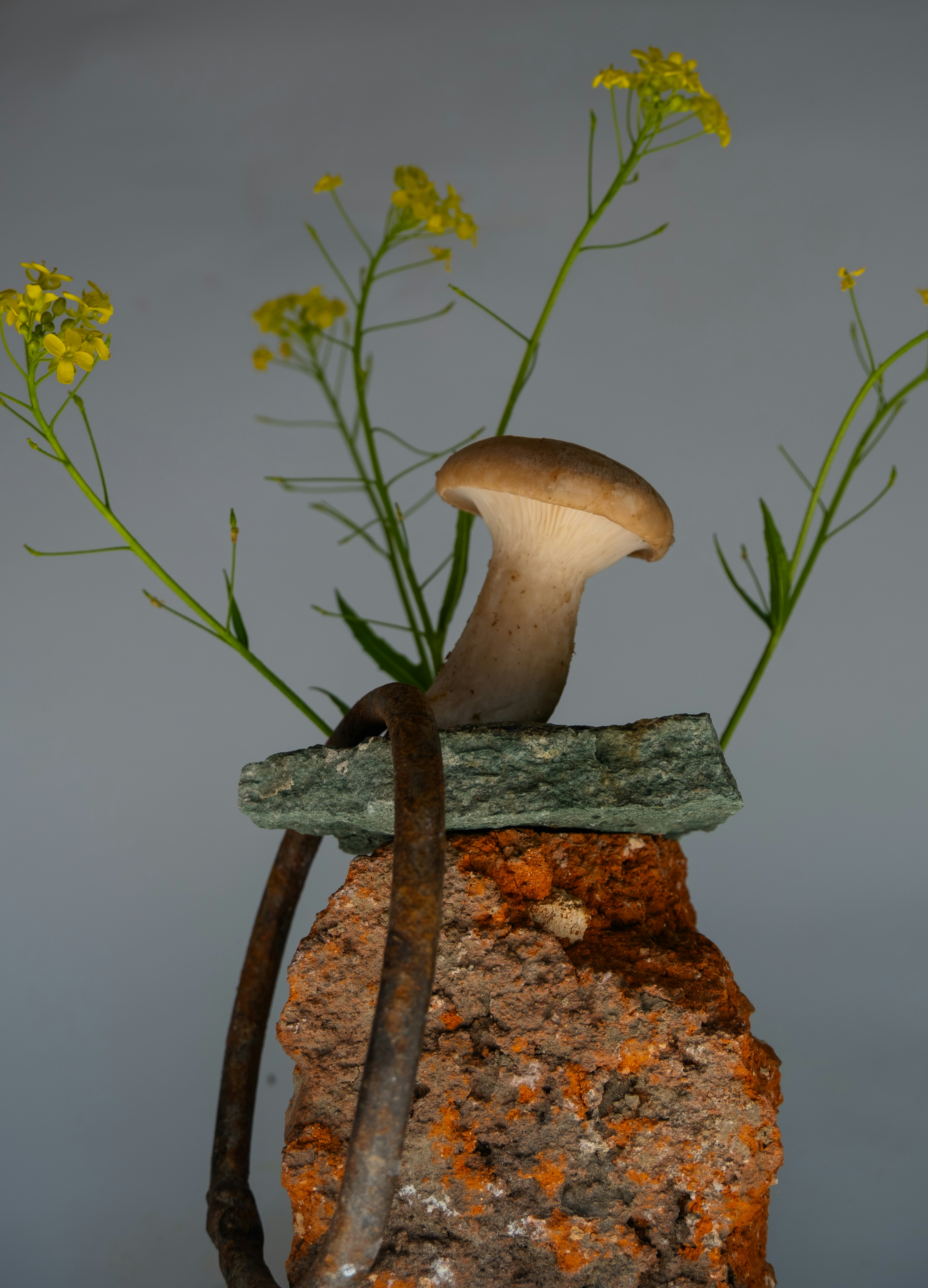 Photo by redredorange