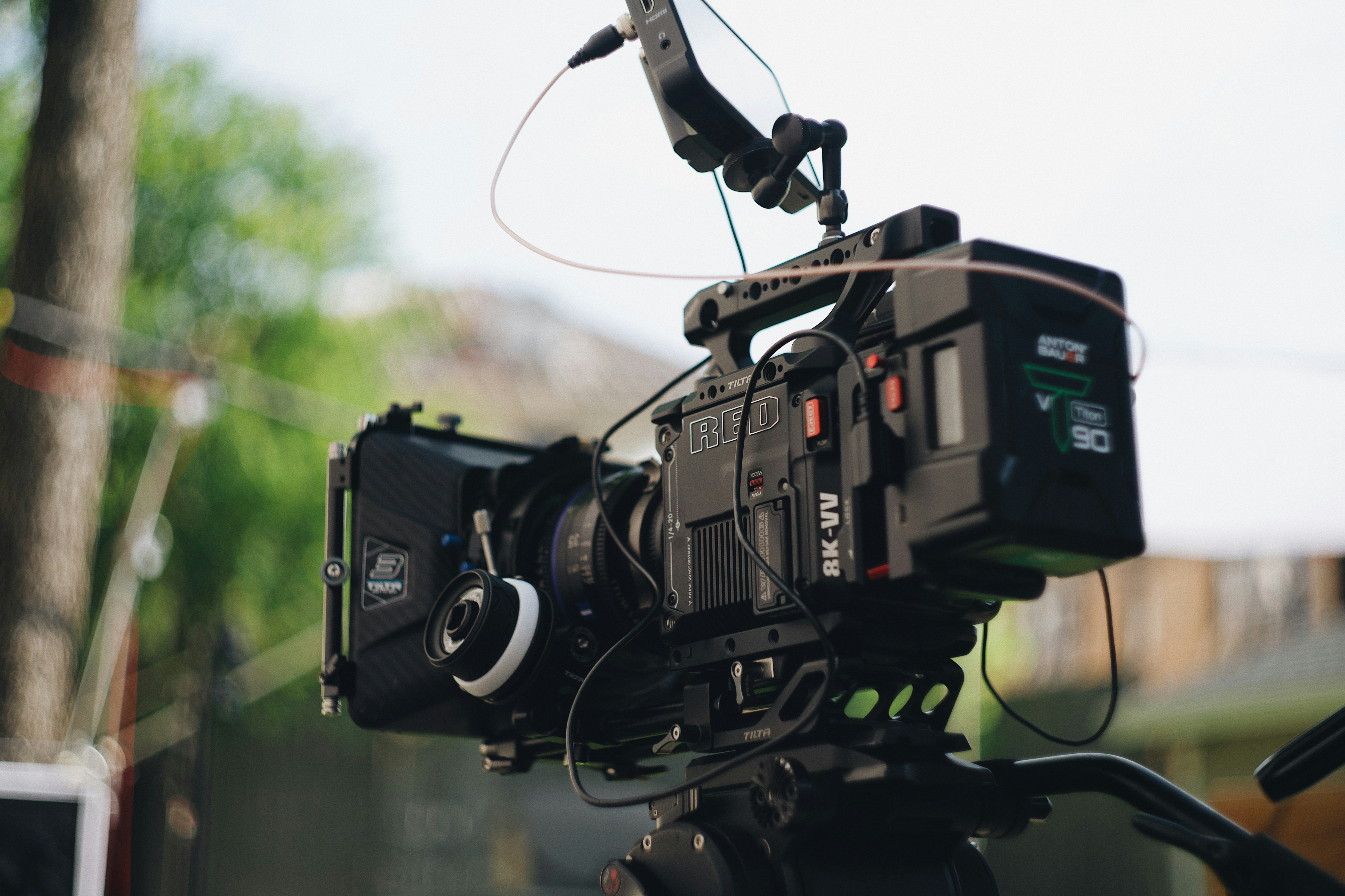 A camera attached to a tripod in front of a tree
