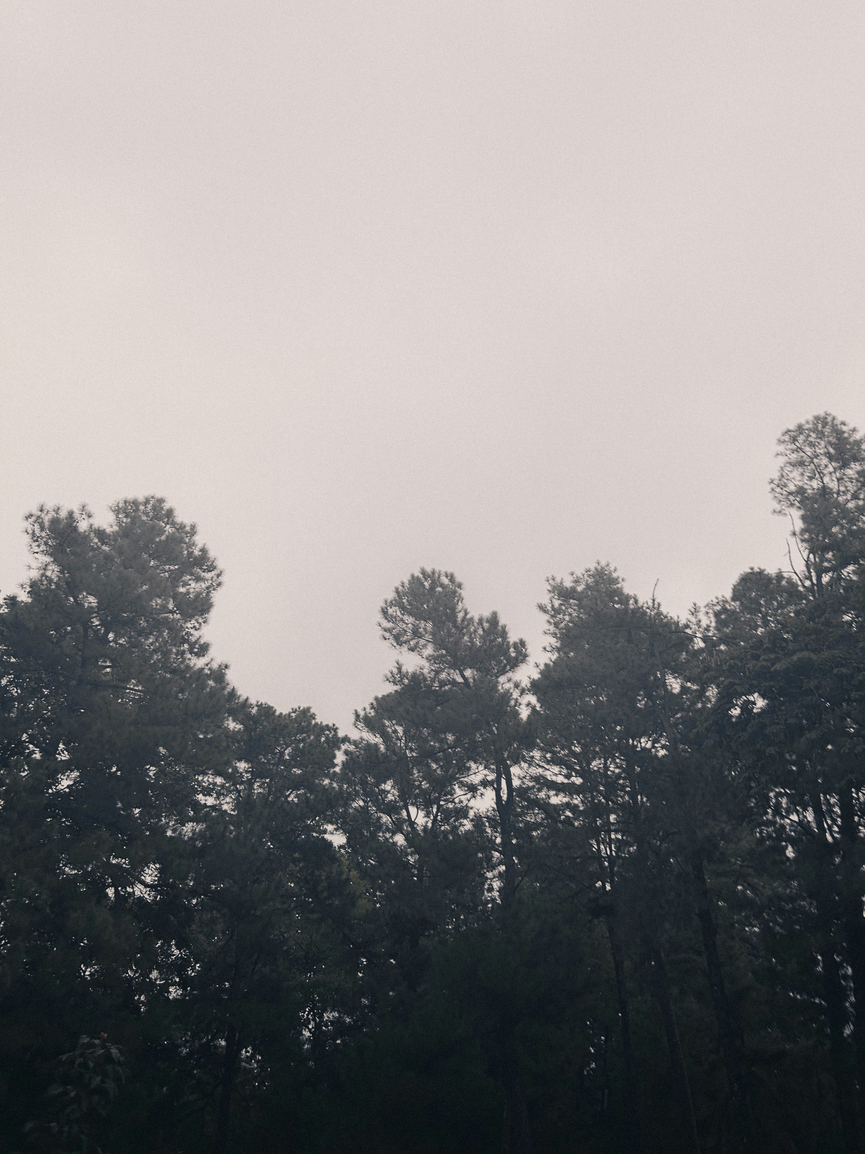 Photo by puku_thapa_