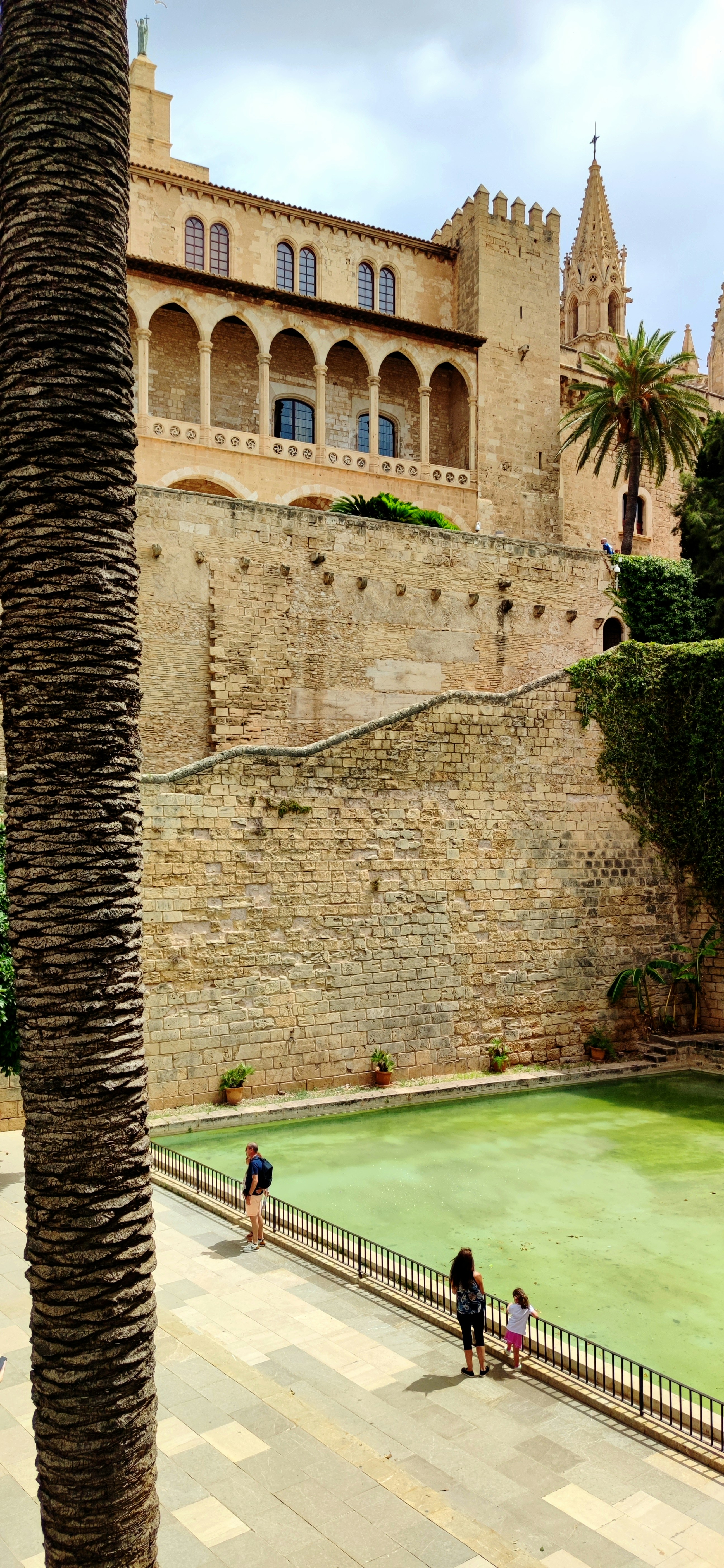 Photo by fernandojimenez