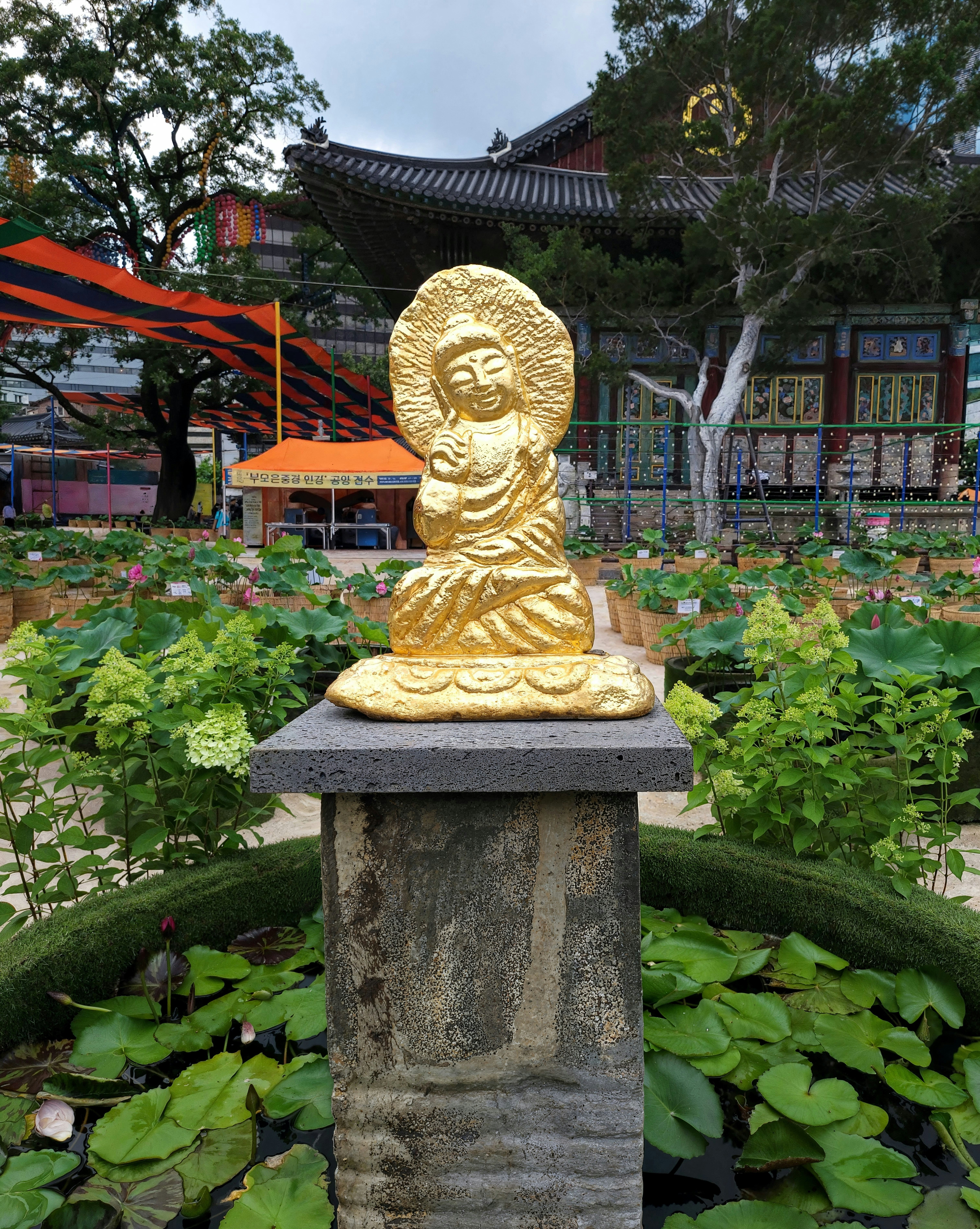 A statue of a buddha in a garden