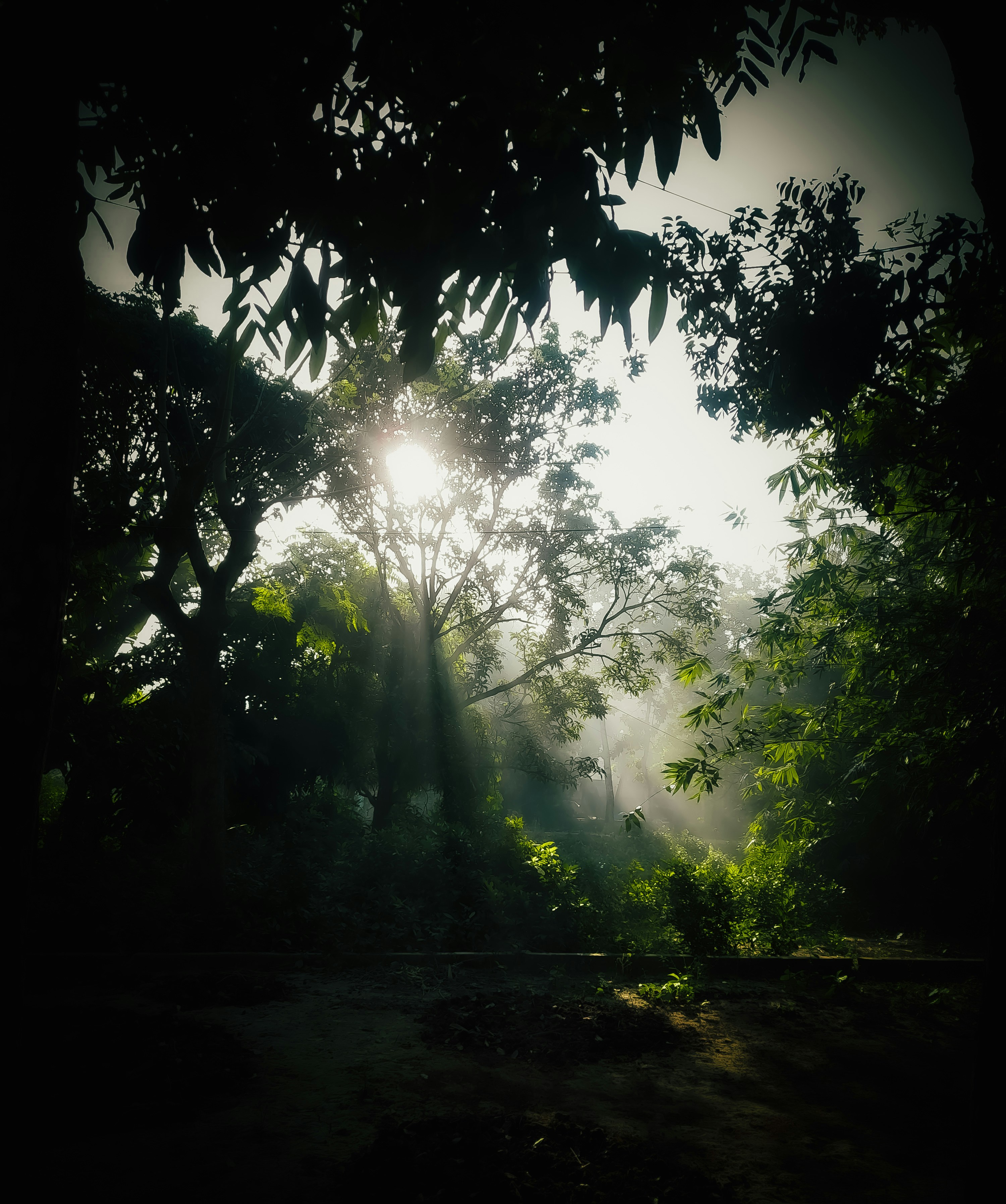 Photo by momotaj6717