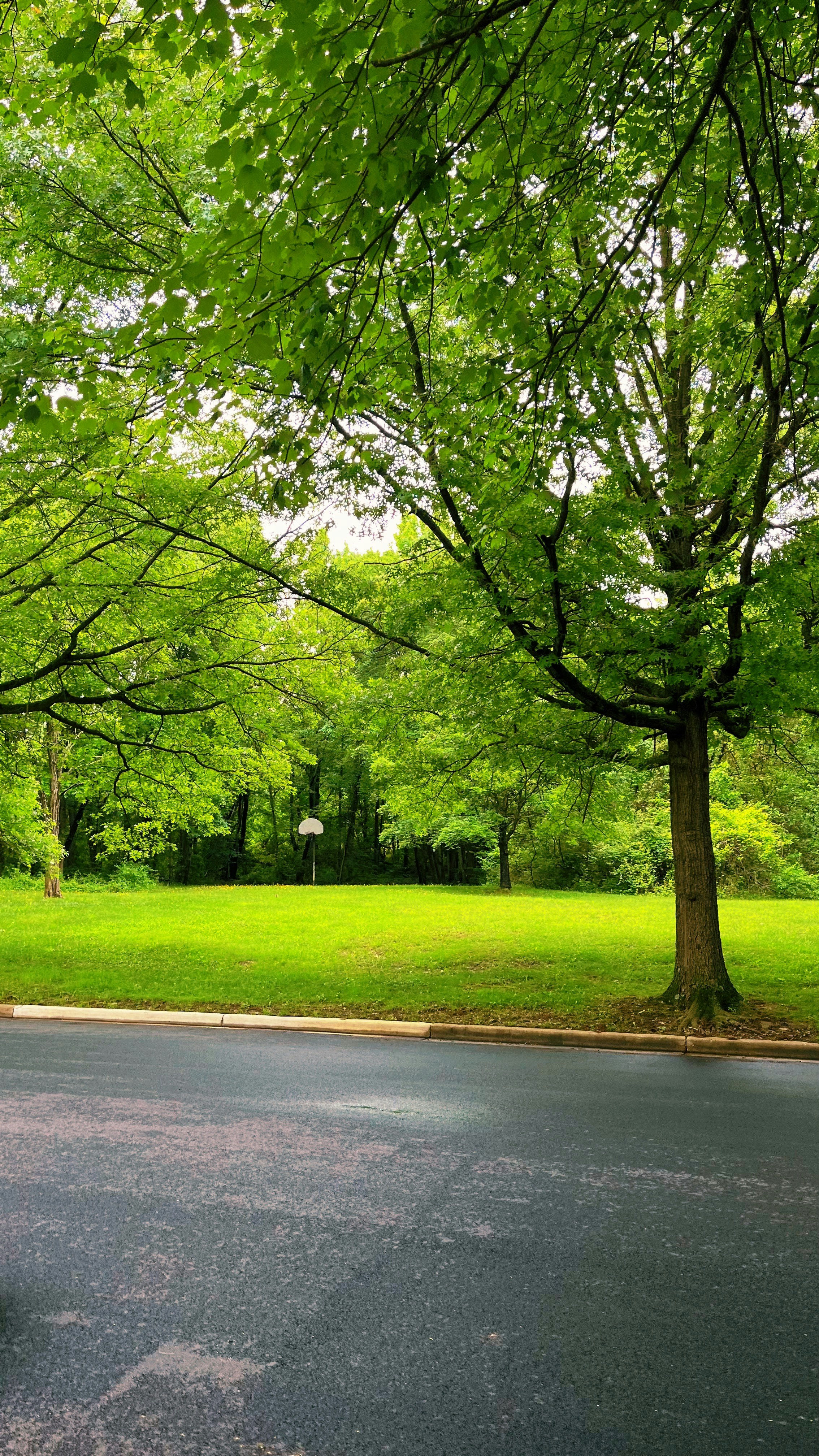 Photo by franciscobachez