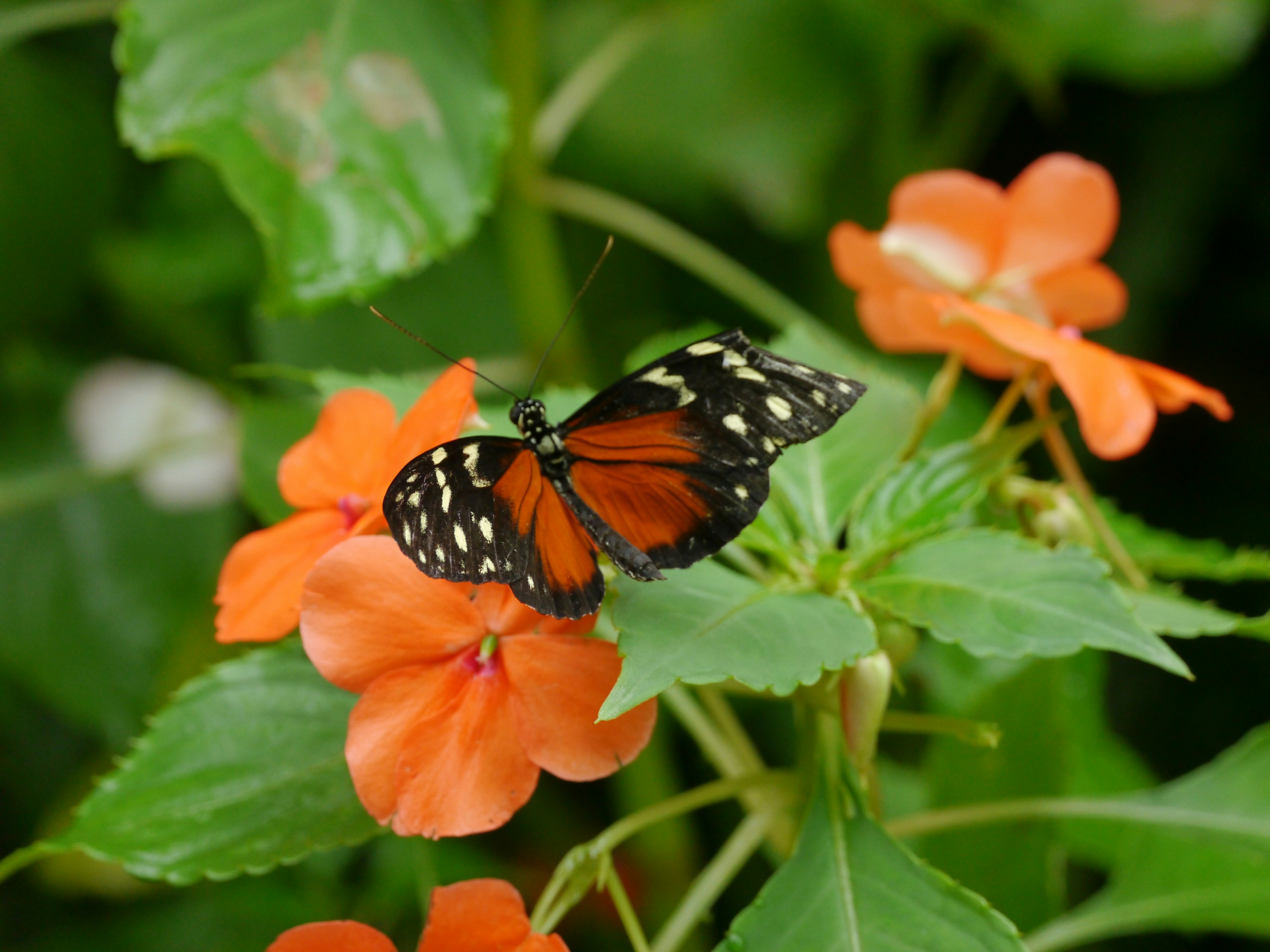 Photo by iqsphotography