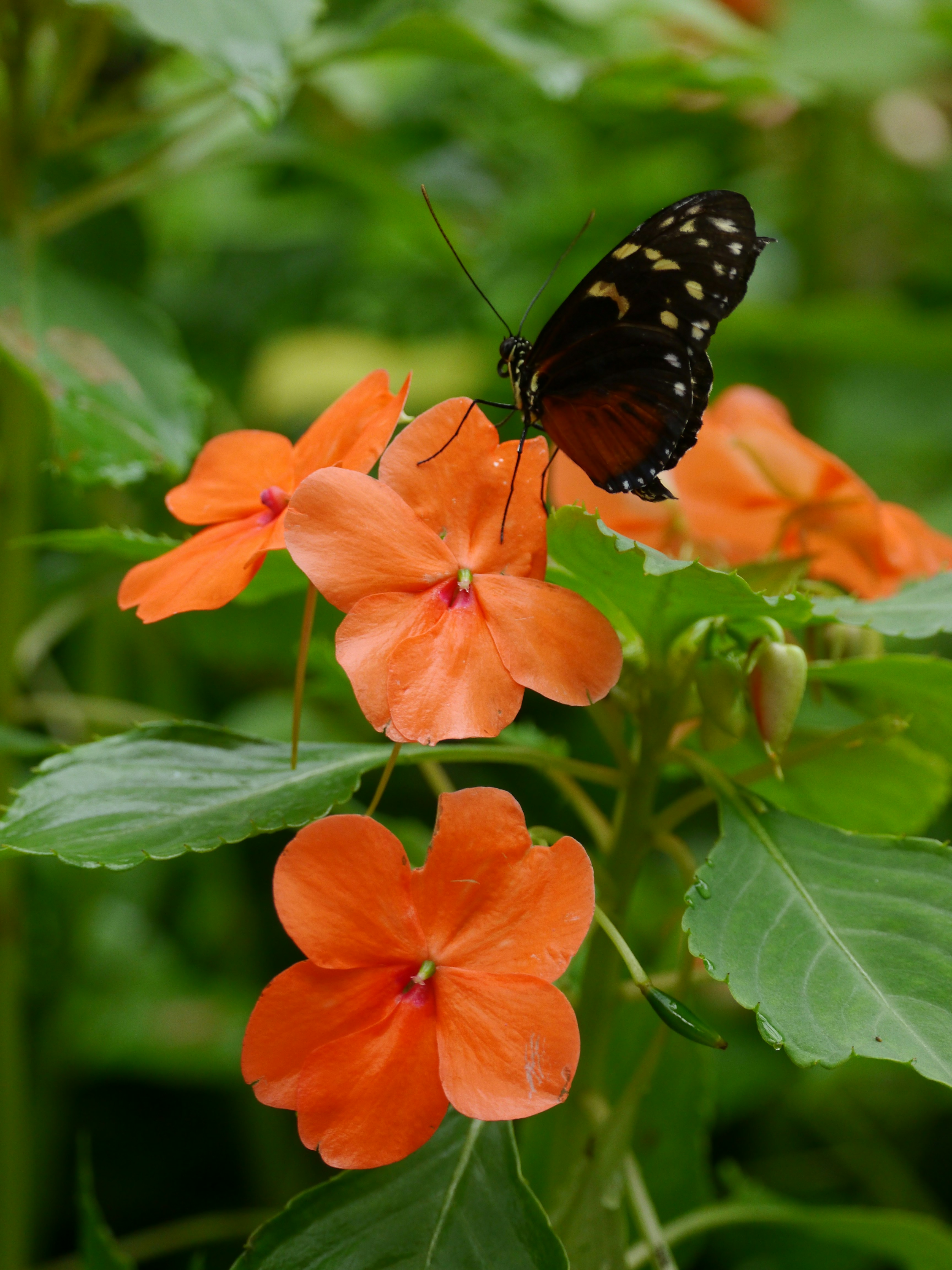 Photo by iqsphotography