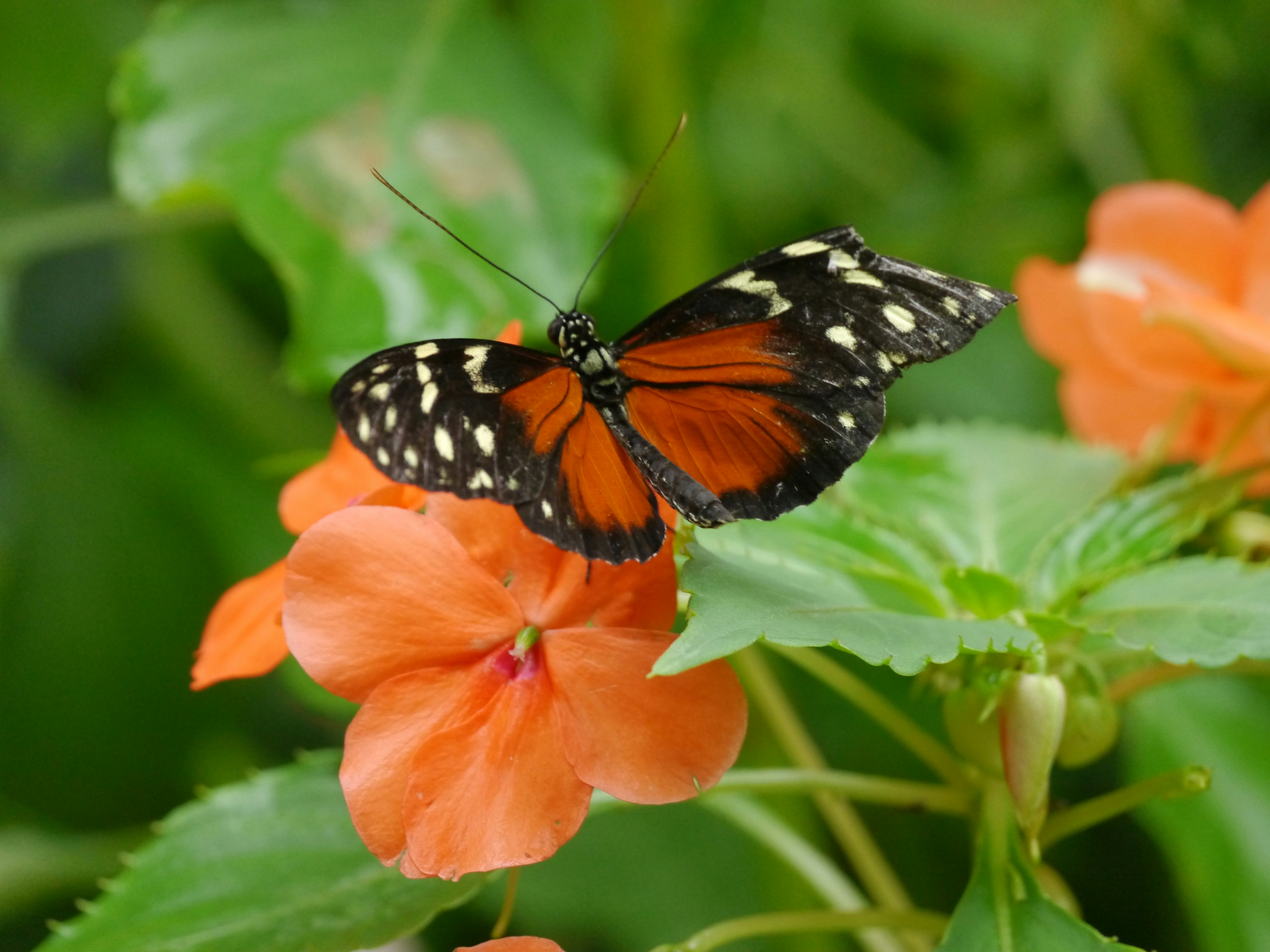 Photo by iqsphotography