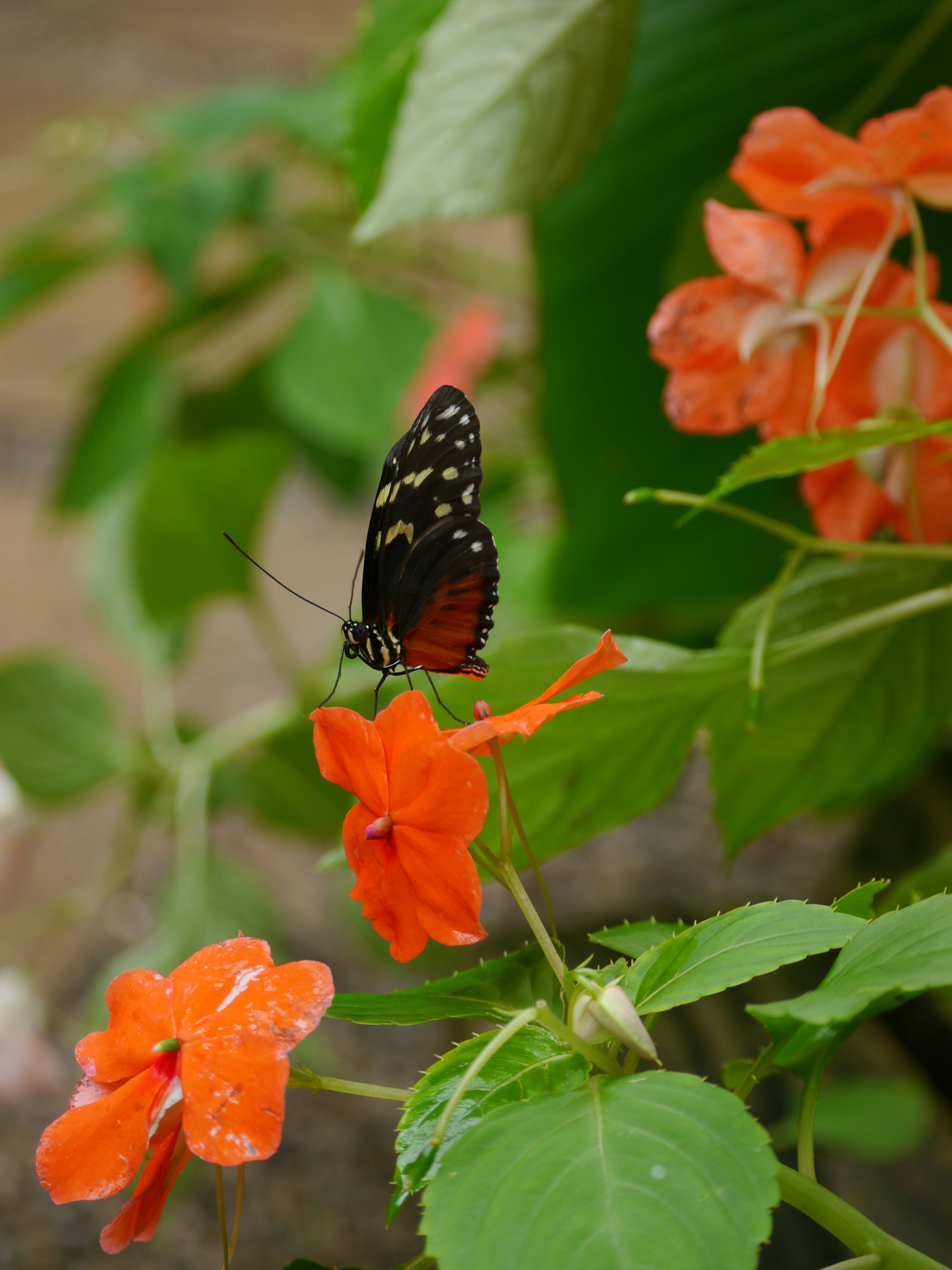 Photo by iqsphotography