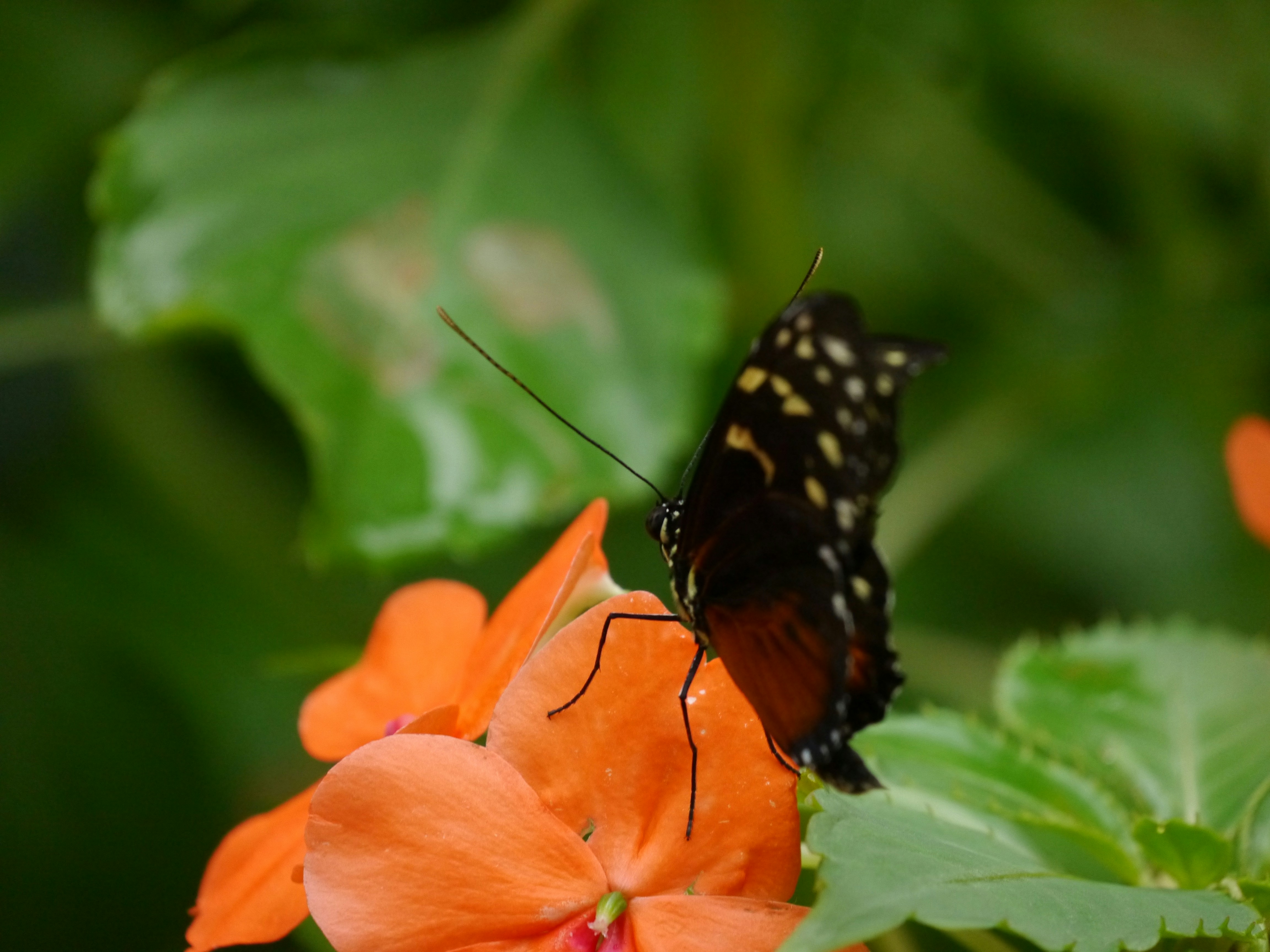 Photo by iqsphotography