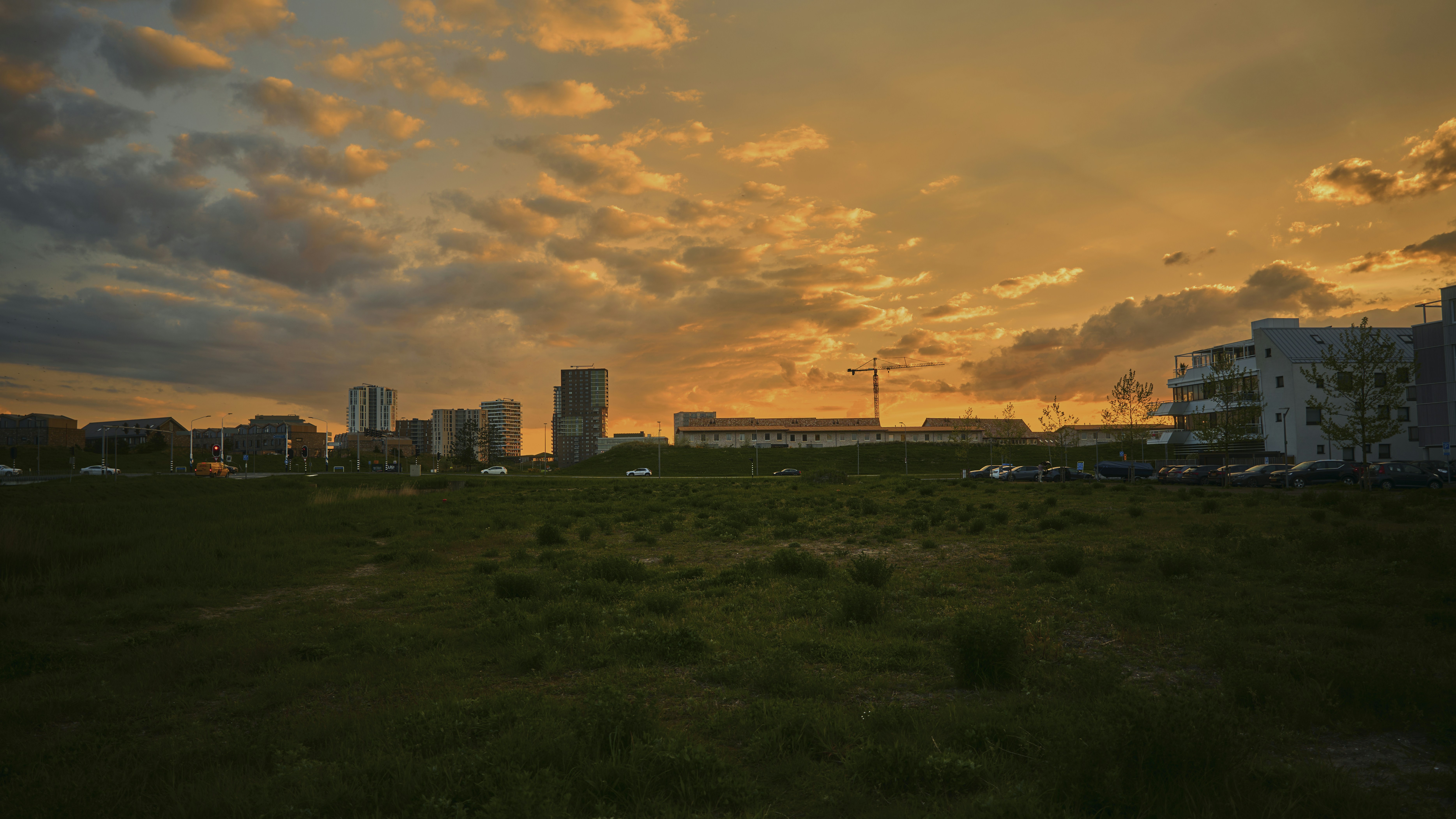 A field with buildings in the background at sunset