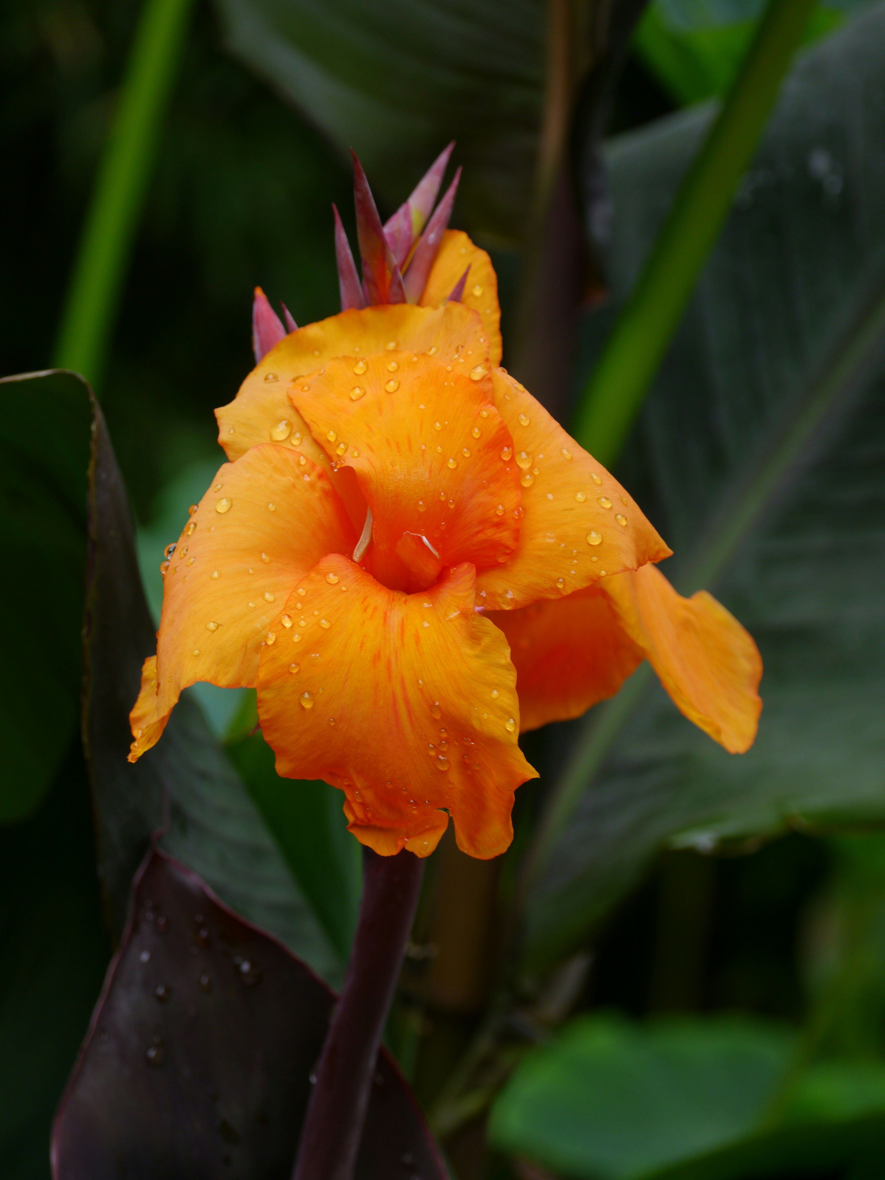 Photo by iqsphotography